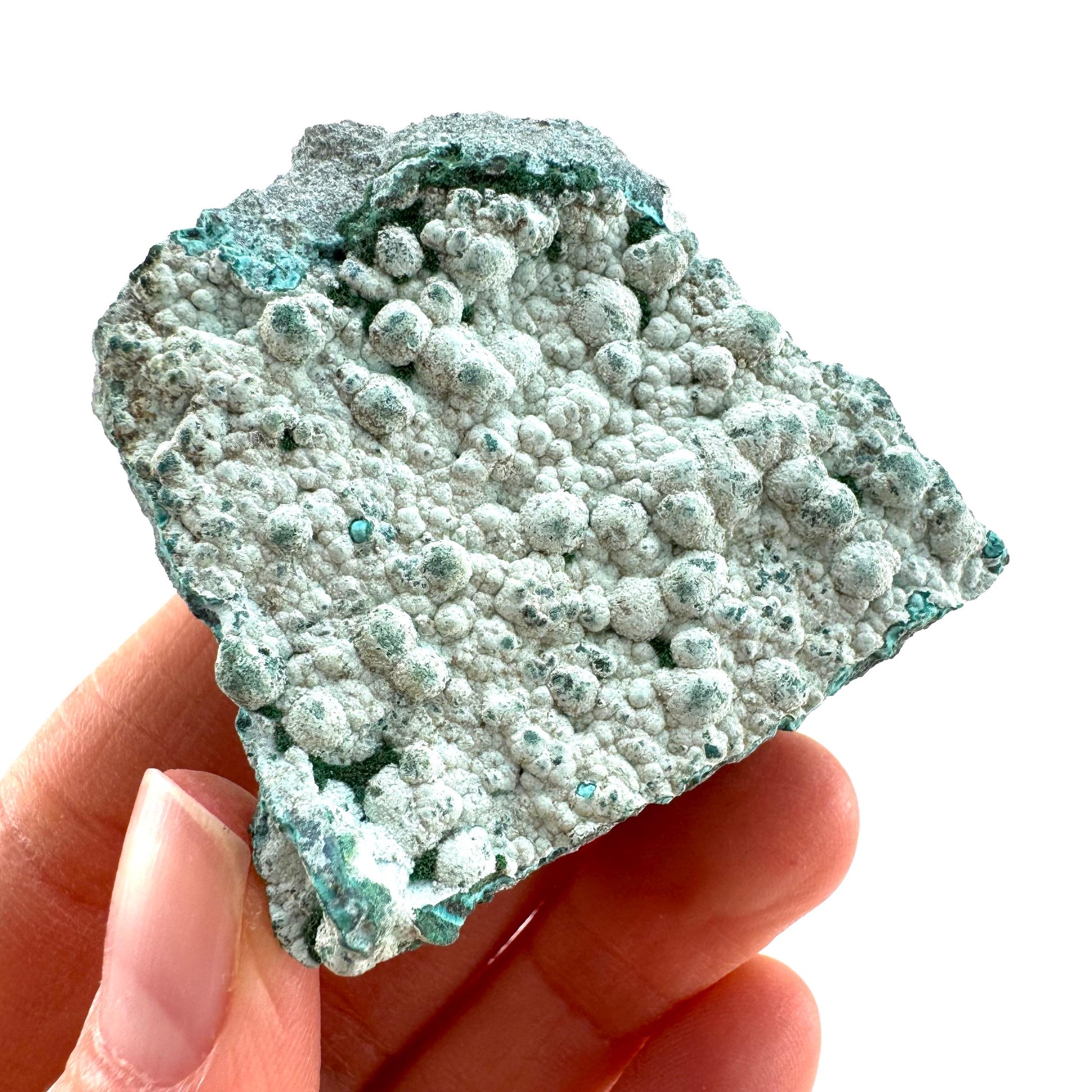 Chrysocolla (DR Congo) | botryoidal chrysocolla crystal, mineral specimen