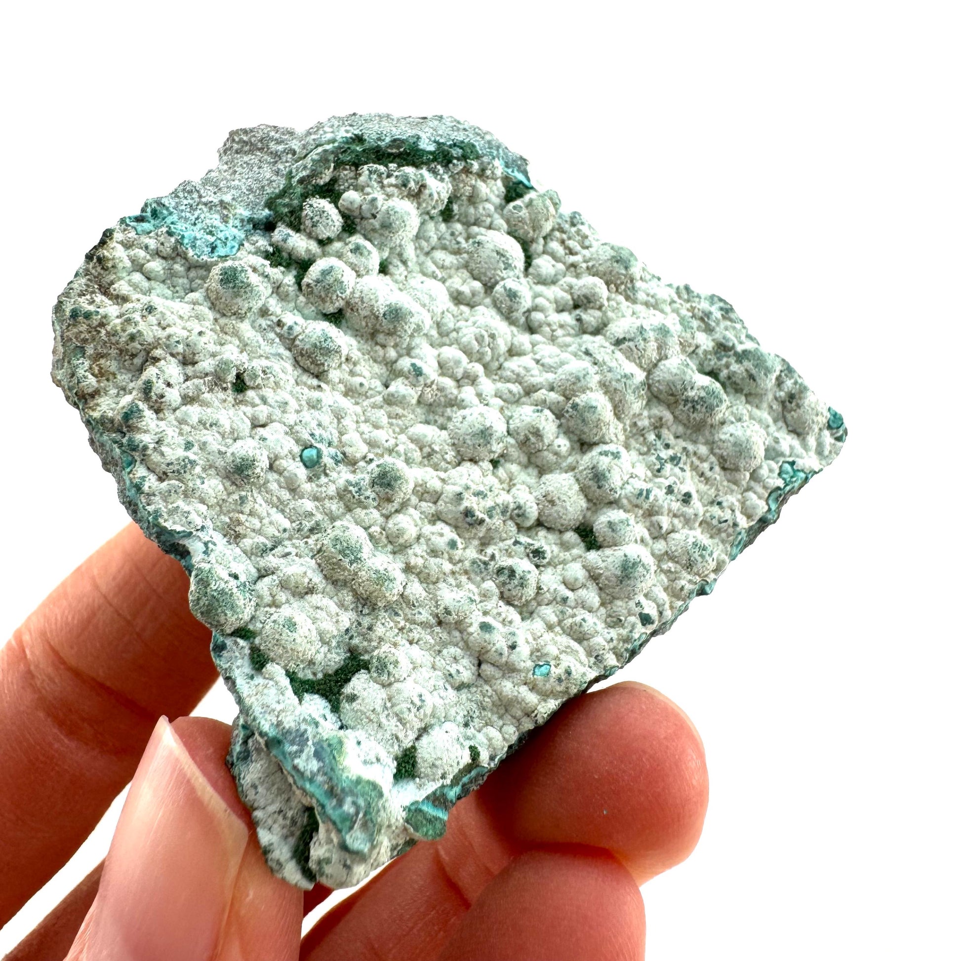 Chrysocolla (DR Congo) | botryoidal chrysocolla crystal, mineral specimen