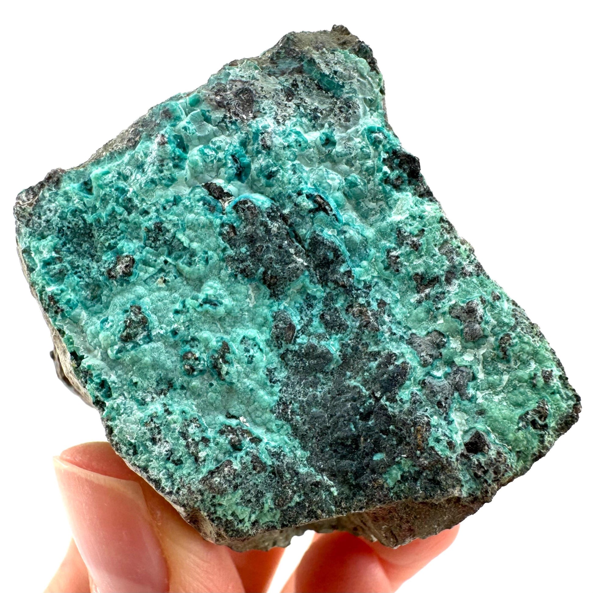 Chrysocolla / Gem Silica (DR Congo) | botryoidal chrysocolla crystal, mineral specimen