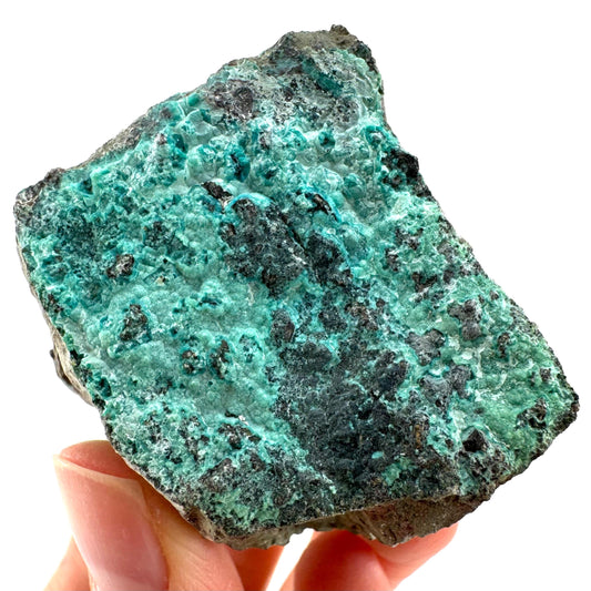 Chrysocolla / Gem Silica (DR Congo) | botryoidal chrysocolla crystal, mineral specimen