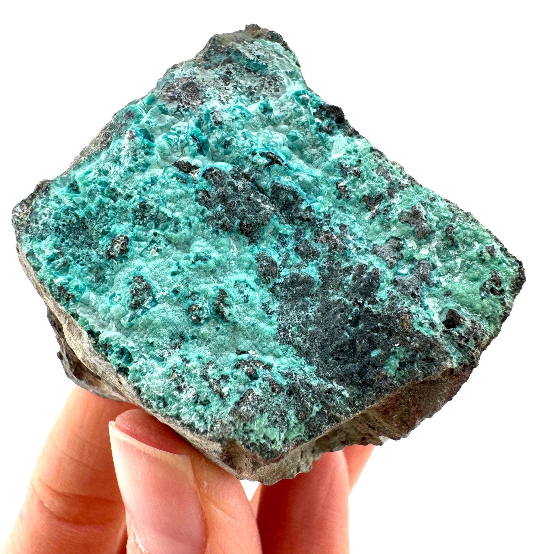 Chrysocolla / Gem Silica (DR Congo) | botryoidal chrysocolla crystal, mineral specimen