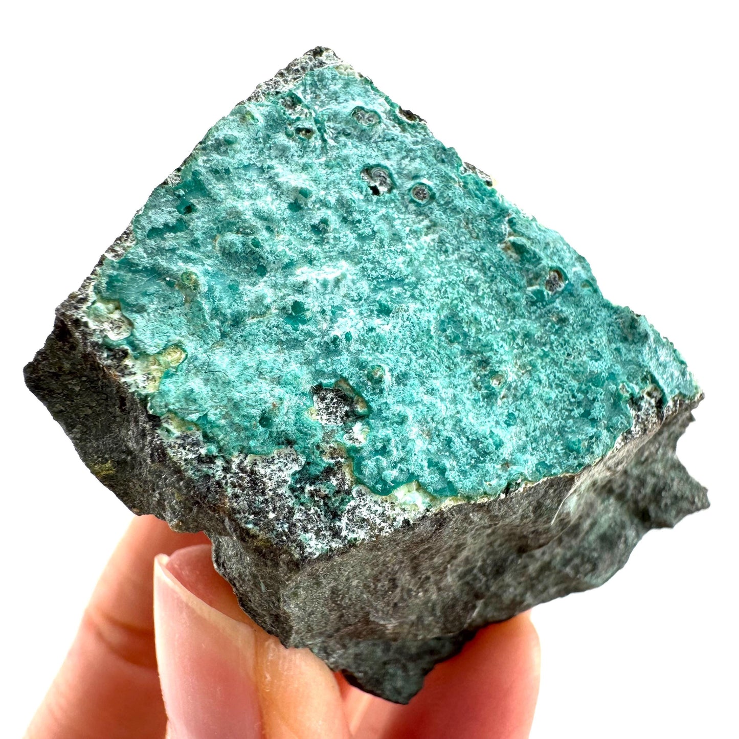 Chrysocolla / Gem Silica (DR Congo) | botryoidal chrysocolla crystal, mineral specimen