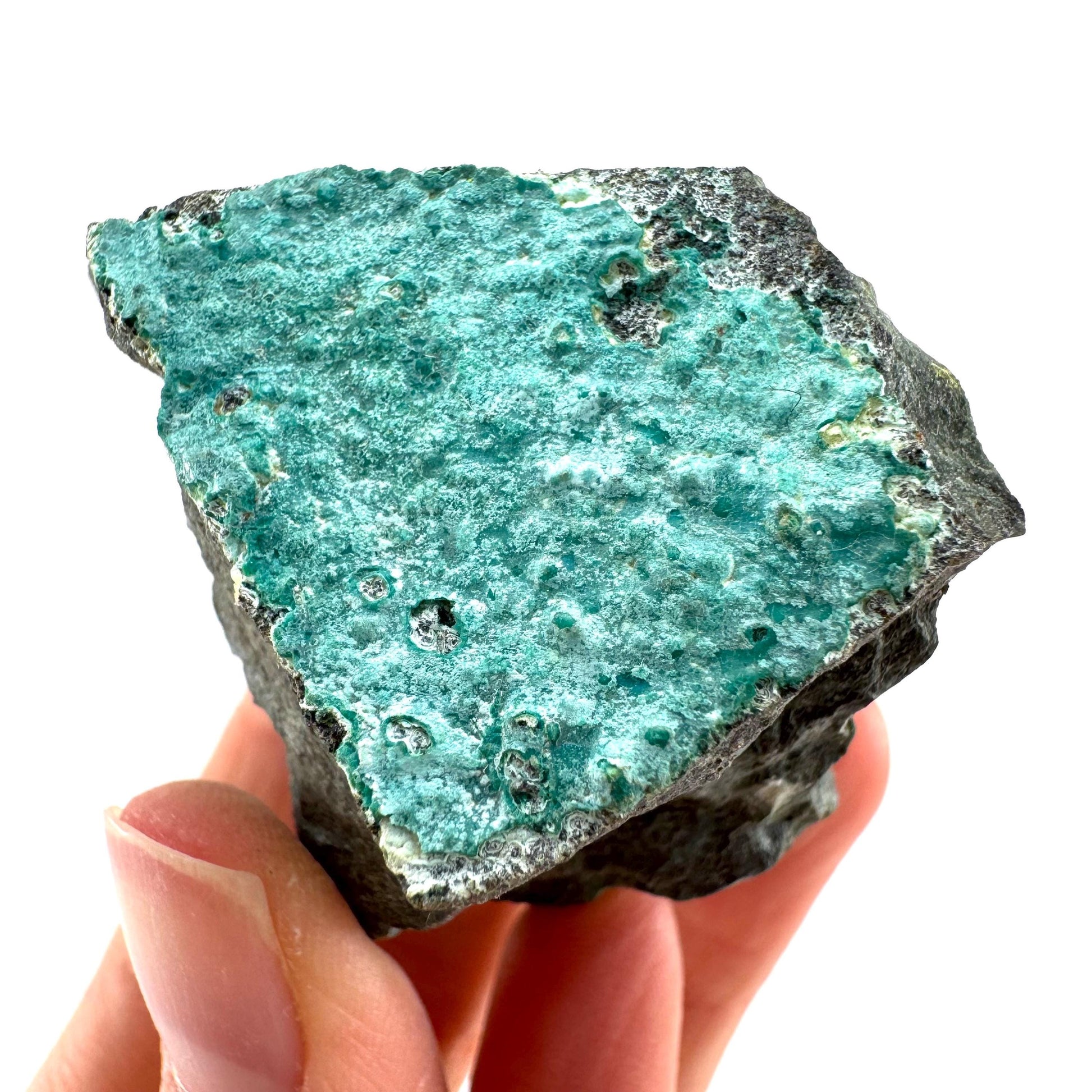 Chrysocolla / Gem Silica (DR Congo) | botryoidal chrysocolla crystal, mineral specimen