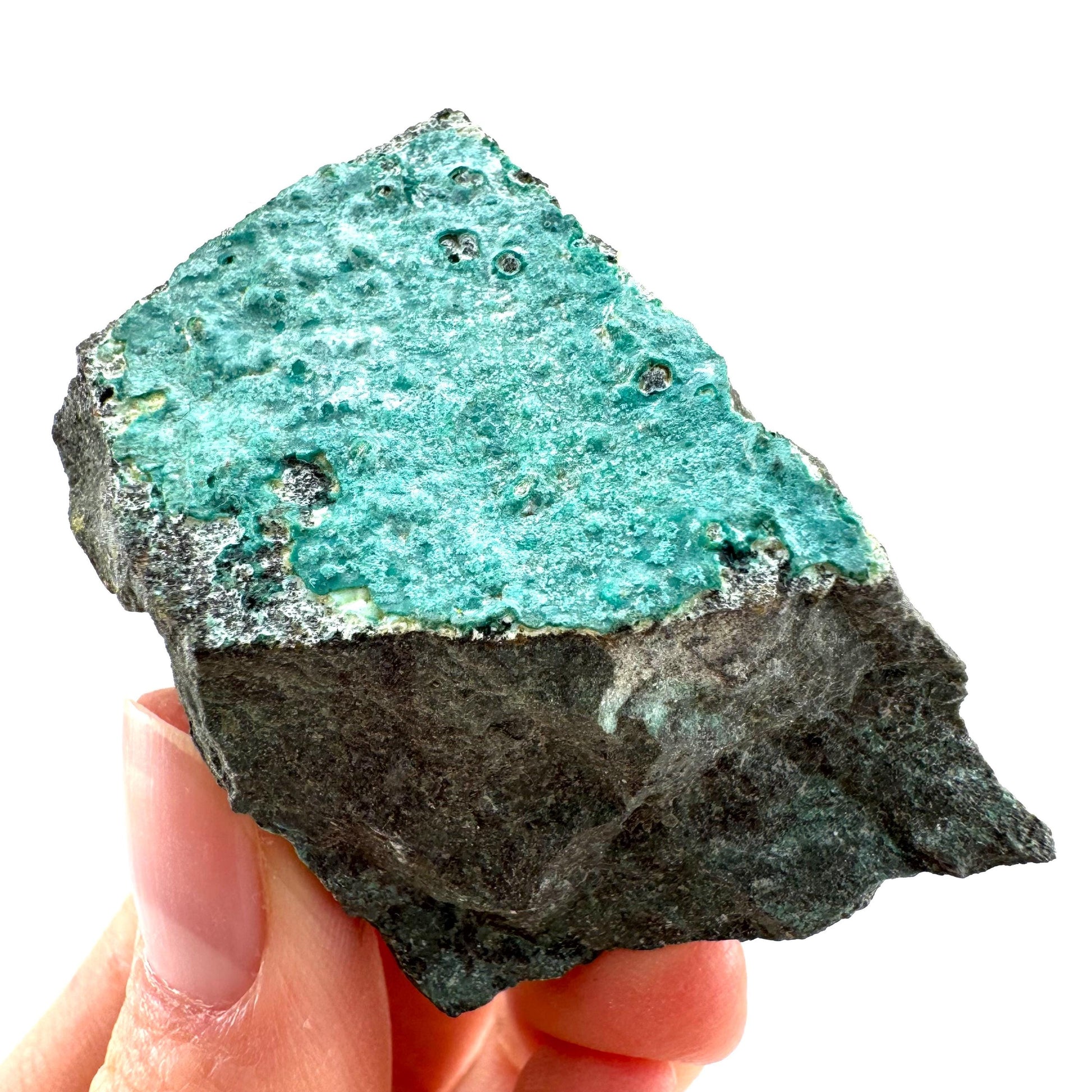 Chrysocolla / Gem Silica (DR Congo) | botryoidal chrysocolla crystal, mineral specimen