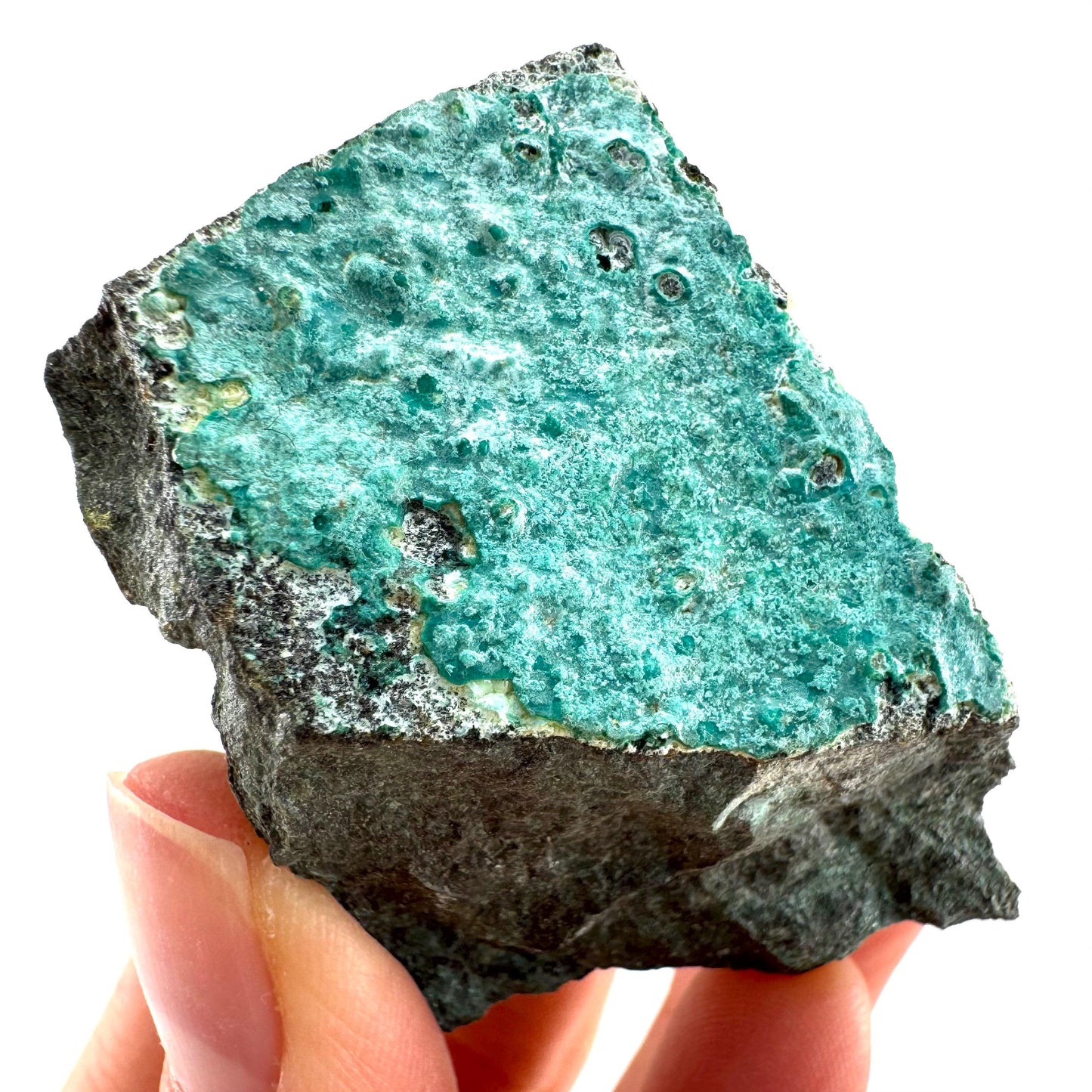 Chrysocolla / Gem Silica (DR Congo) | botryoidal chrysocolla crystal, mineral specimen