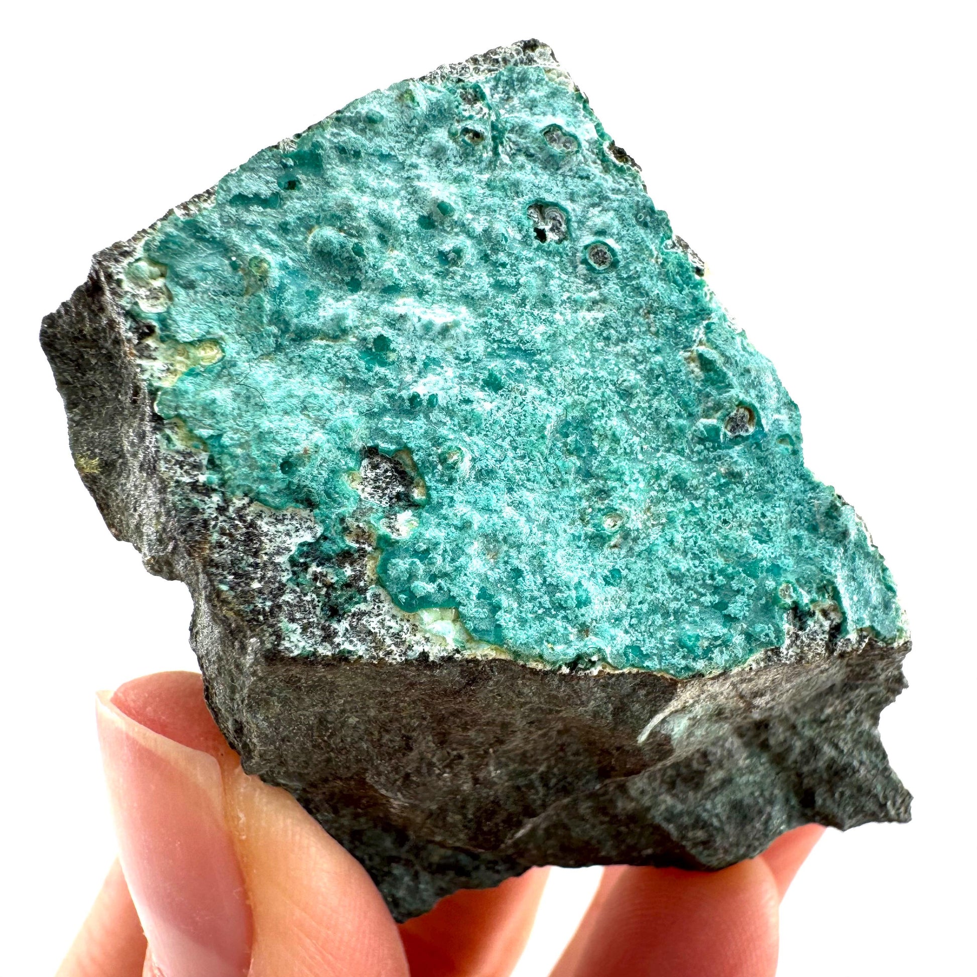 Chrysocolla / Gem Silica (DR Congo) | botryoidal chrysocolla crystal, mineral specimen