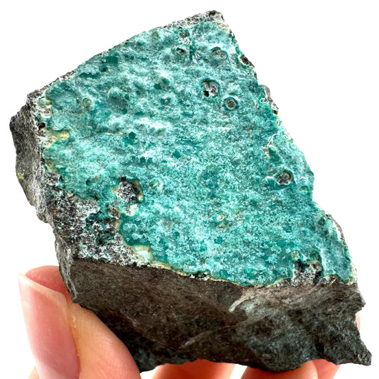 Chrysocolla / Gem Silica (DR Congo) | botryoidal chrysocolla crystal, mineral specimen