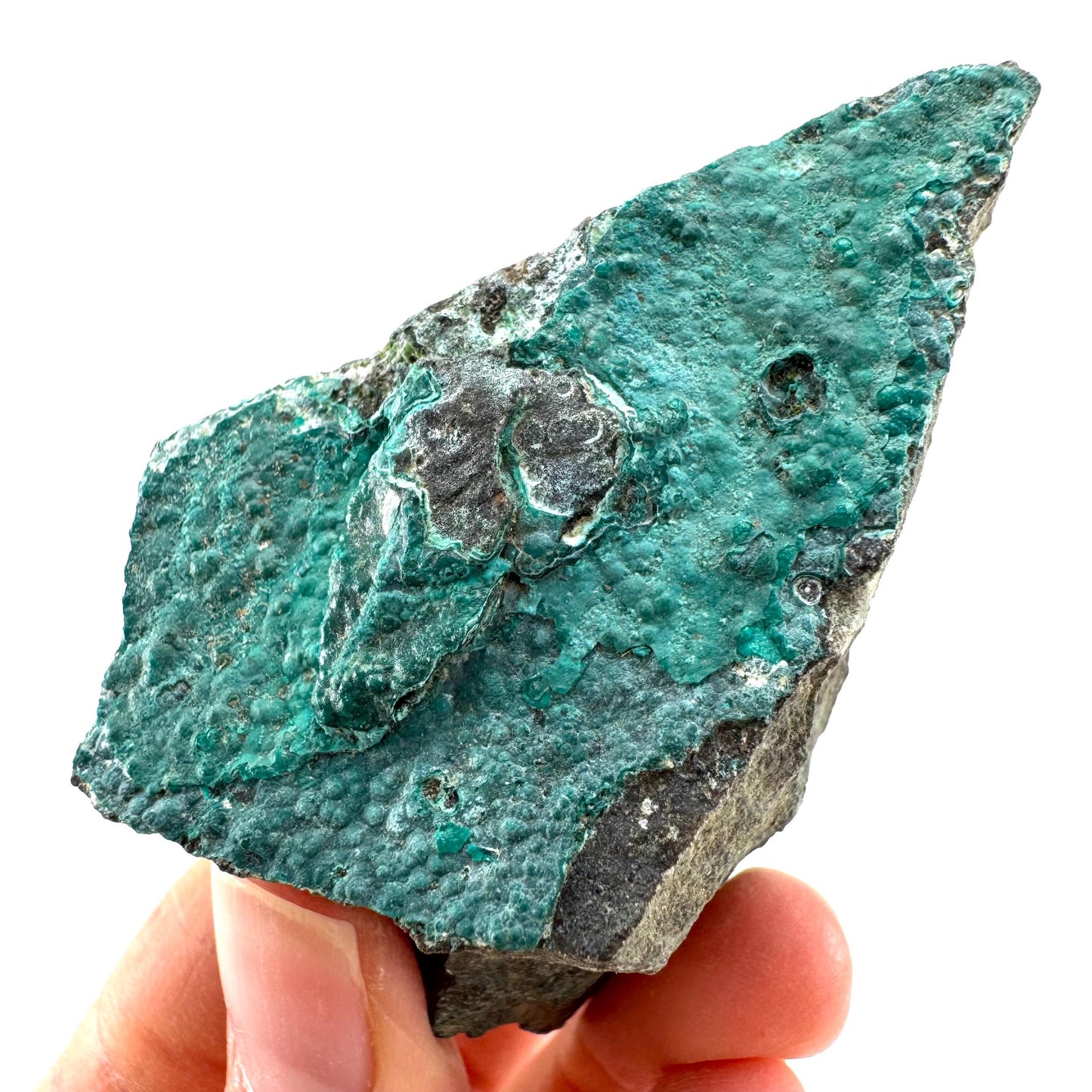Chrysocolla / Gem Silica (DR Congo) | botryoidal chrysocolla crystal, mineral specimen