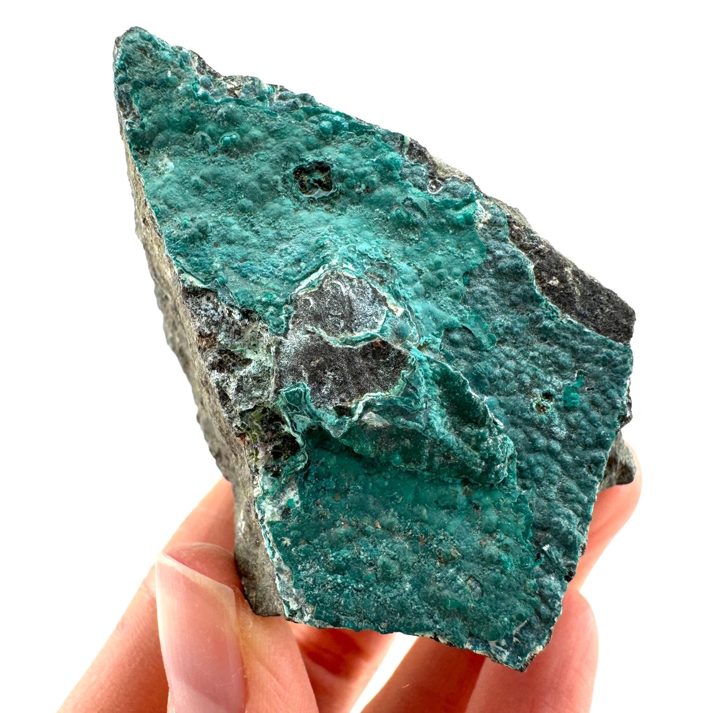 Chrysocolla / Gem Silica (DR Congo) | botryoidal chrysocolla crystal, mineral specimen