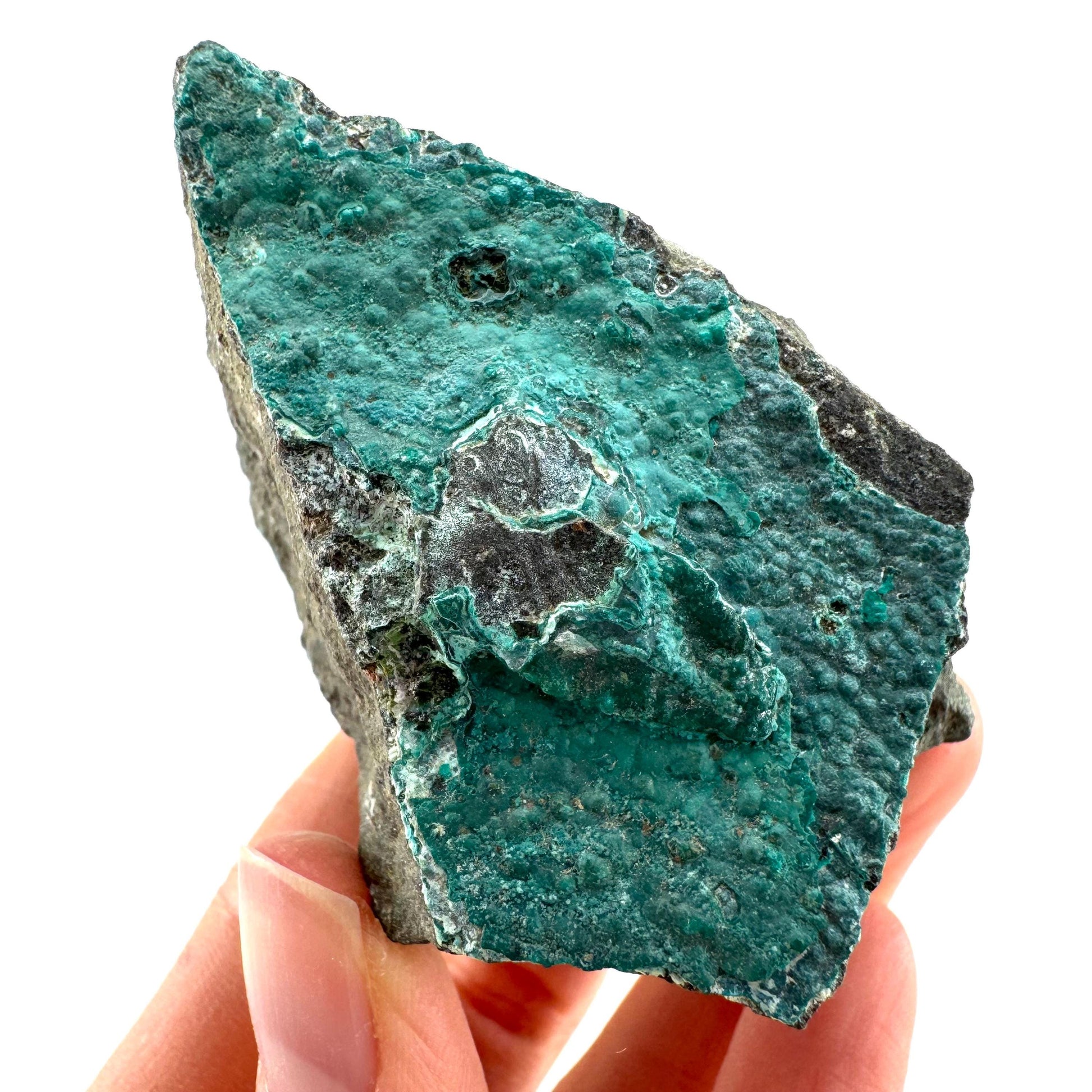 Chrysocolla / Gem Silica (DR Congo) | botryoidal chrysocolla crystal, mineral specimen