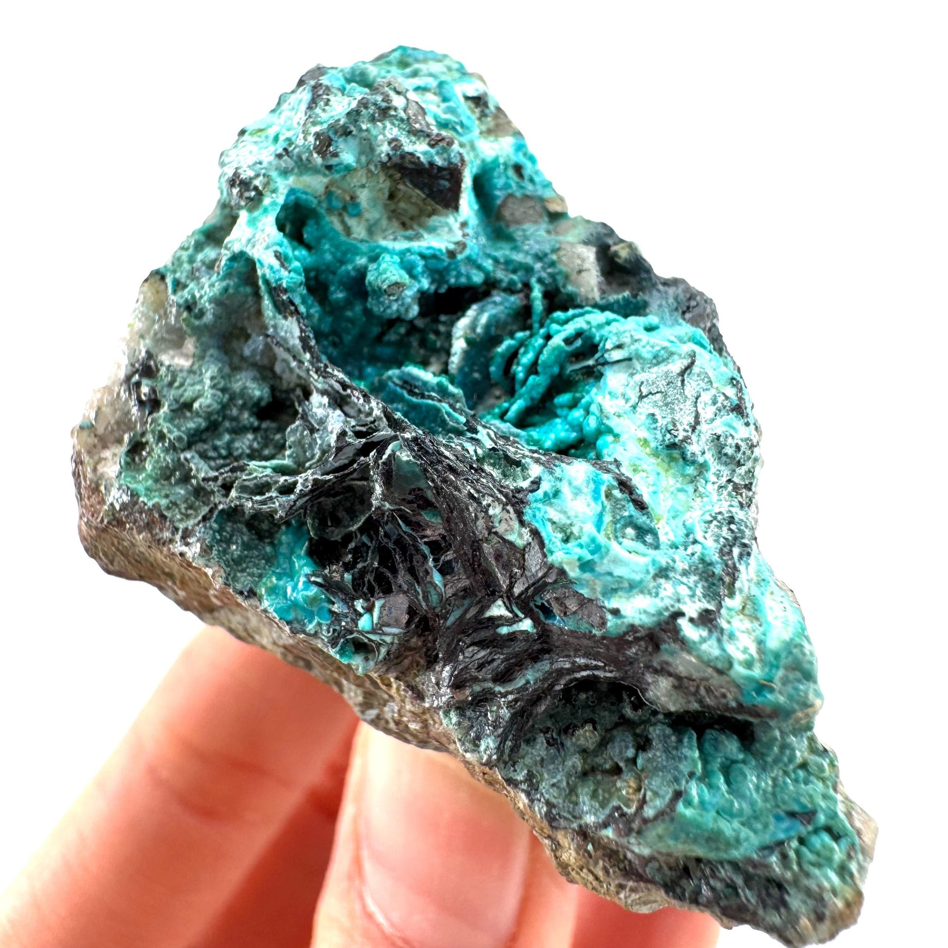 Chrysocolla / Gem Silica (DR Congo) | botryoidal chrysocolla crystal, mineral specimen