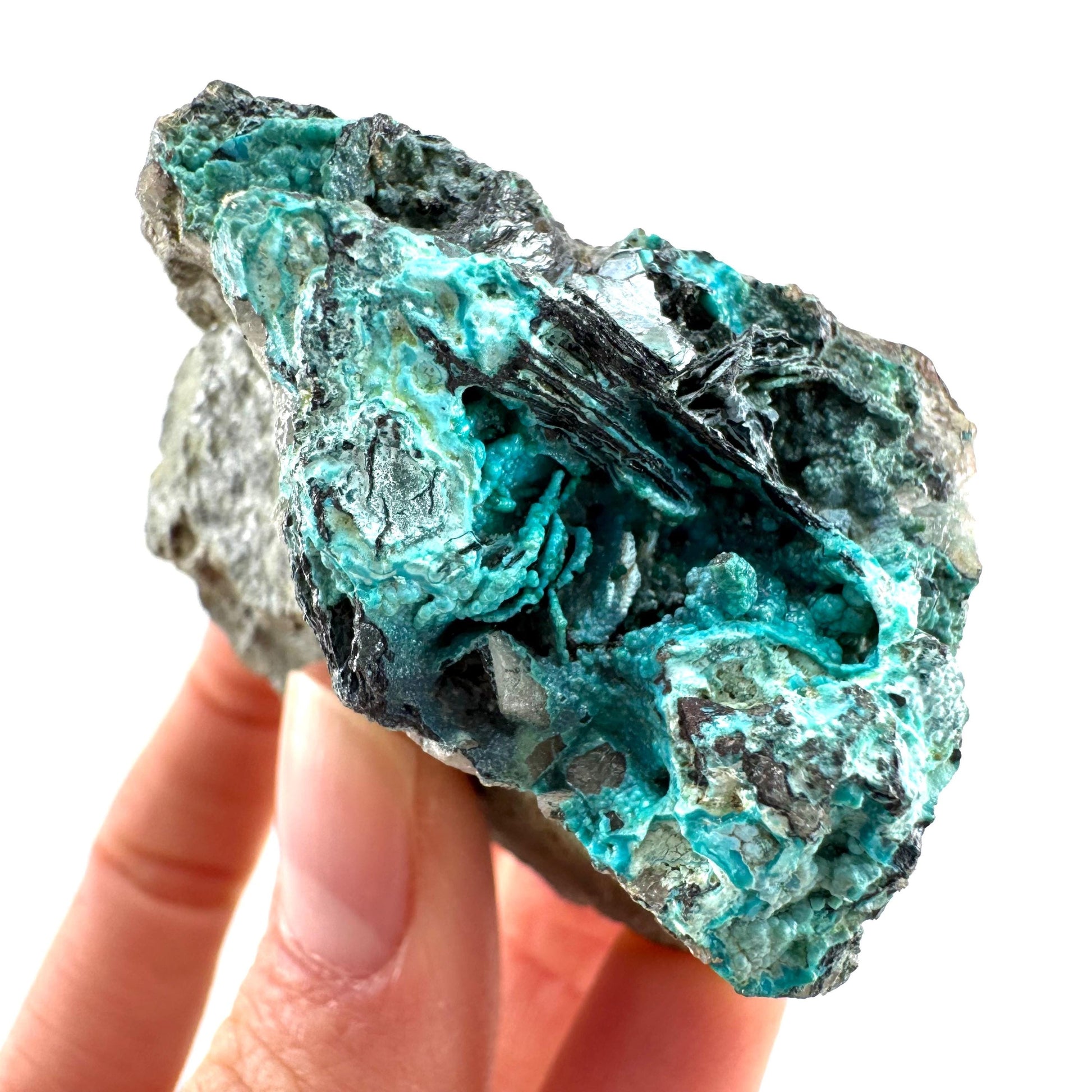 Chrysocolla / Gem Silica (DR Congo) | botryoidal chrysocolla crystal, mineral specimen