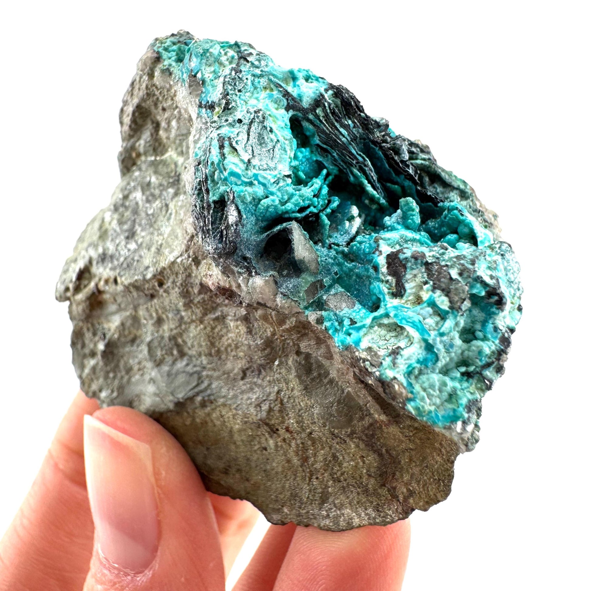 Chrysocolla / Gem Silica (DR Congo) | botryoidal chrysocolla crystal, mineral specimen