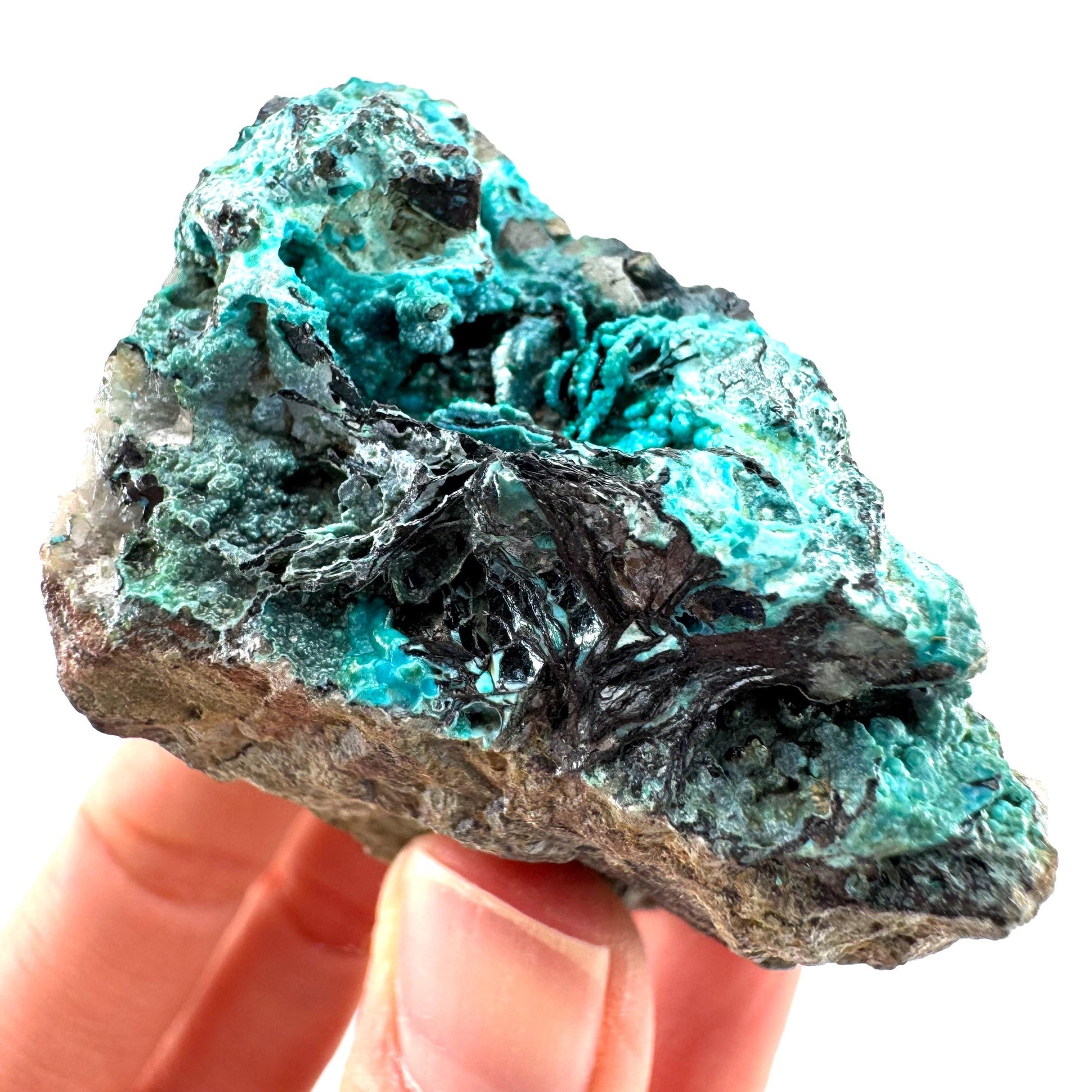 Chrysocolla / Gem Silica (DR Congo) | botryoidal chrysocolla crystal, mineral specimen