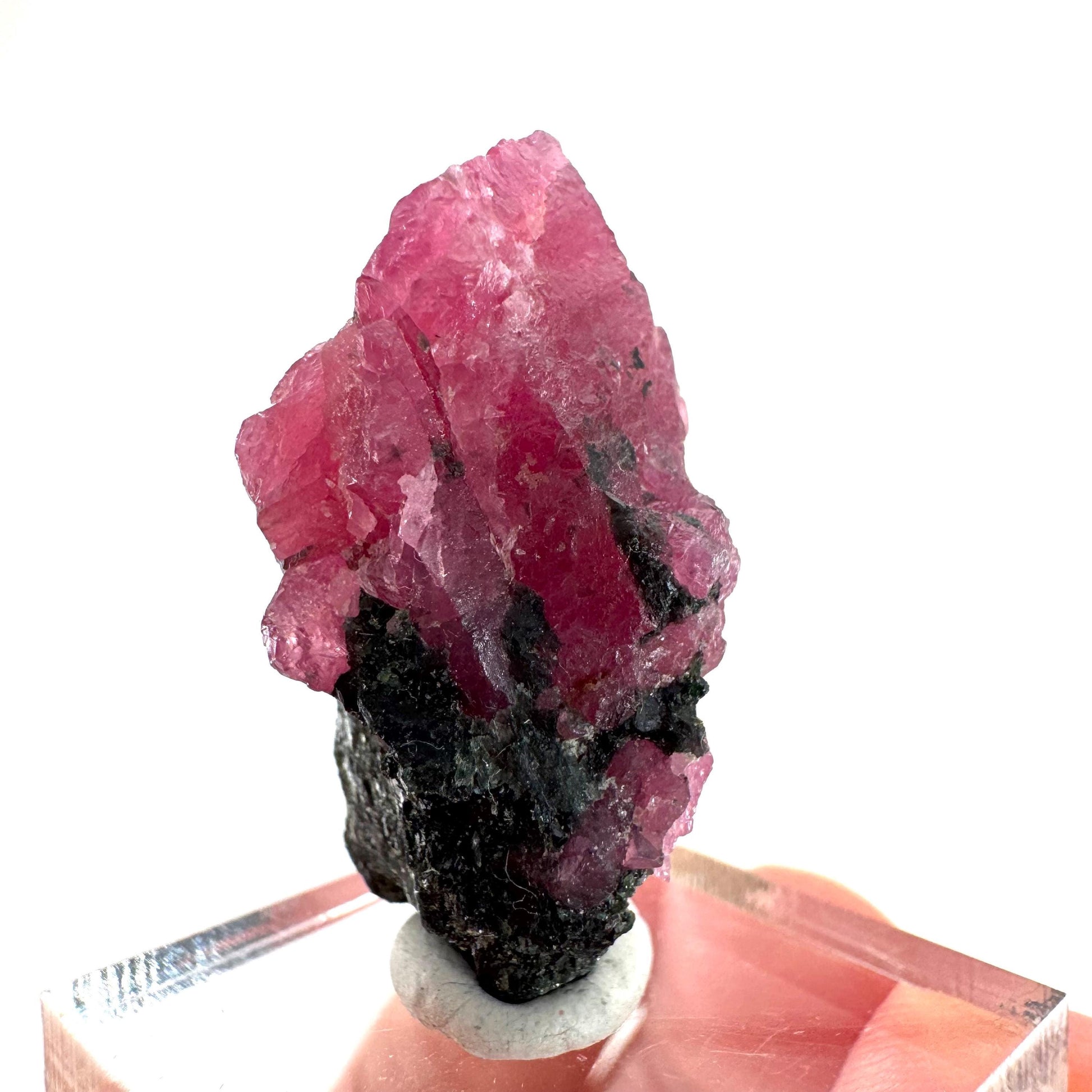 Ruby on Matrix | genuine raw red ruby crystal, natural mineral specimen