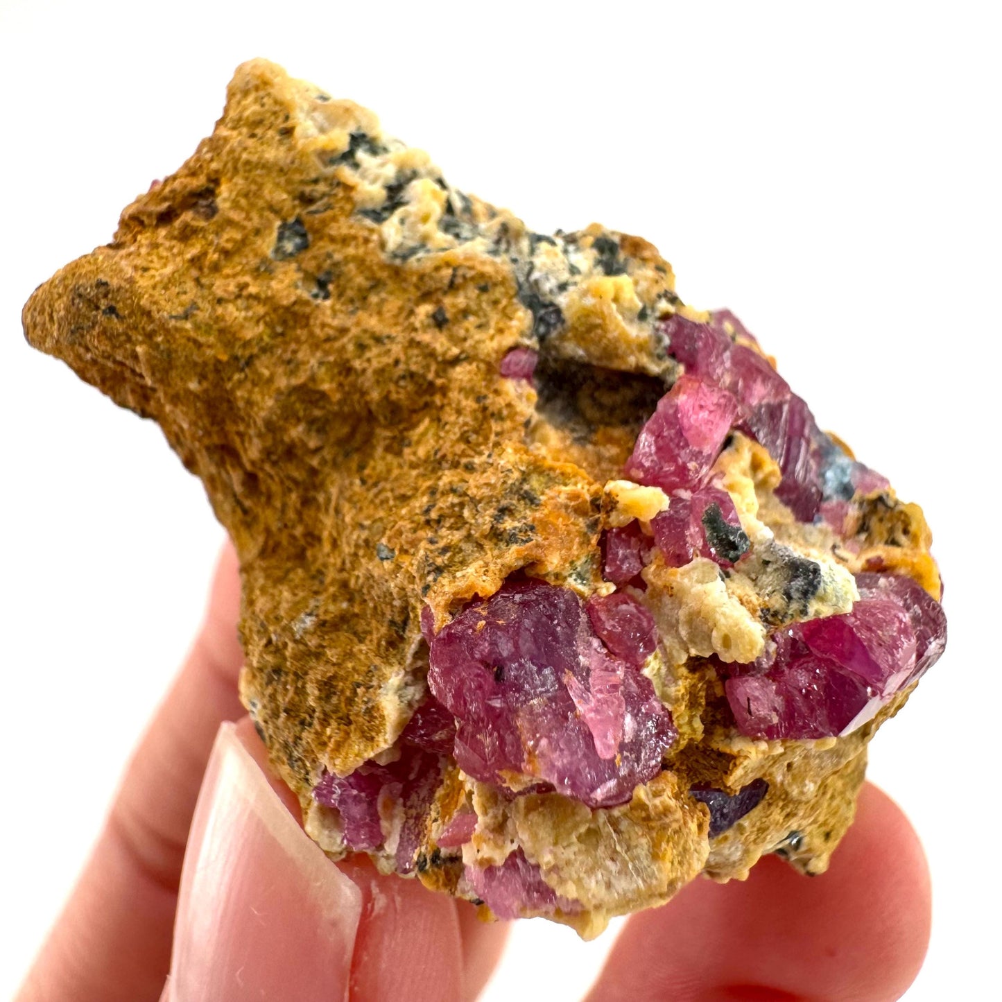 Ruby & Blue Kyanite on Matrix | genuine raw red ruby crystal, natural mineral specimen