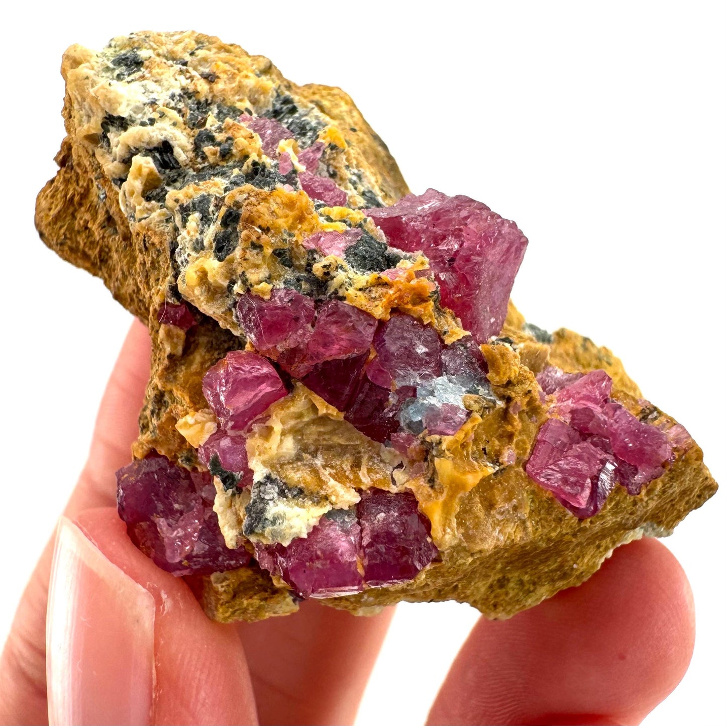 Ruby & Blue Kyanite on Matrix | genuine raw red ruby crystal, natural mineral specimen