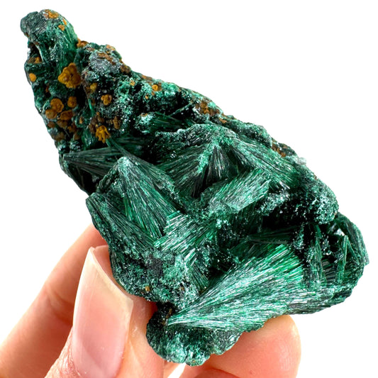 Fibrous Malachite (DR Congo) | raw green malachite crystal, mineral specimen