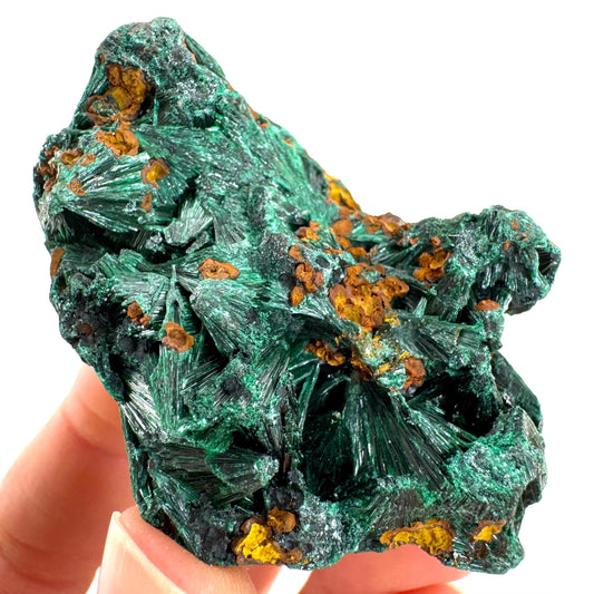 Fibrous Malachite (DR Congo) | raw green malachite crystal, mineral specimen