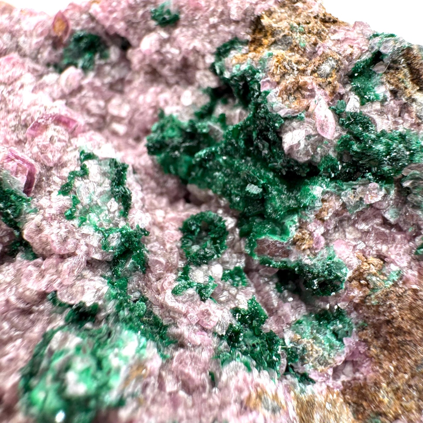 Cobaltoan Calcite w/ Malachite (DR Congo) | cobalto calcite crystal, malachite crystal, mineral specimen
