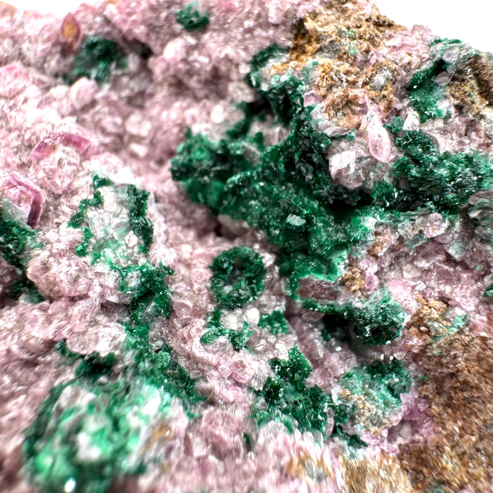 Cobaltoan Calcite w/ Malachite (DR Congo) | cobalto calcite crystal, malachite crystal, mineral specimen