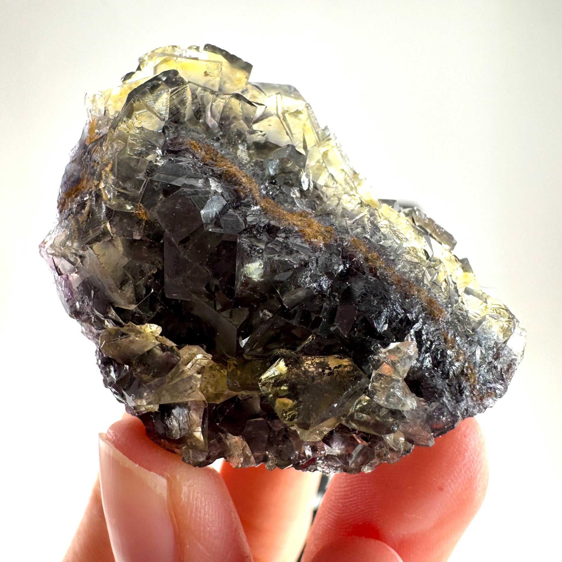 Okorusu Fluorite (Namibia) | “Honey Pocket” fluorite cluster, yellow fluorite crystal, mineral specimen