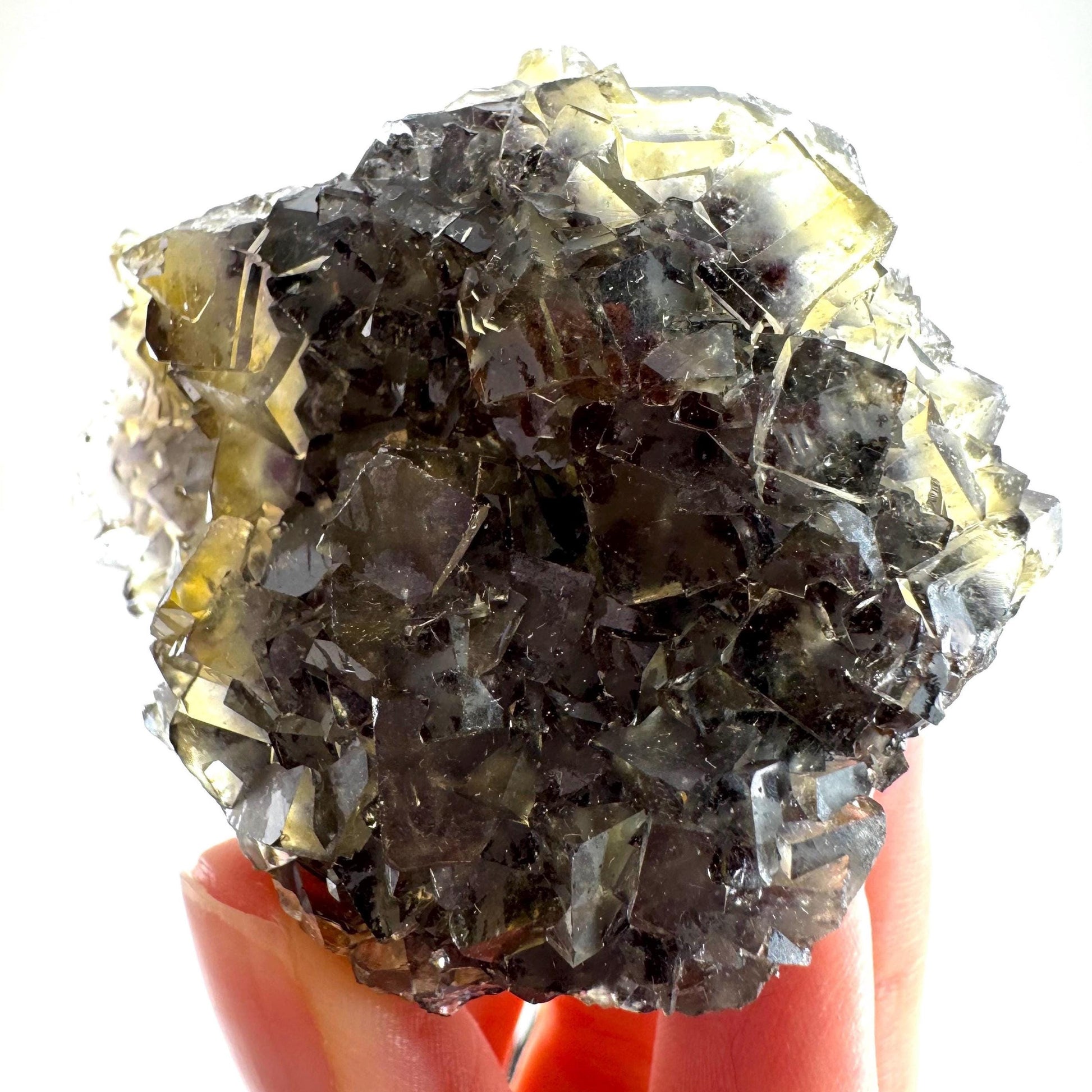 Okorusu Fluorite (Namibia) | “Honey Pocket” fluorite cluster, yellow fluorite crystal, mineral specimen