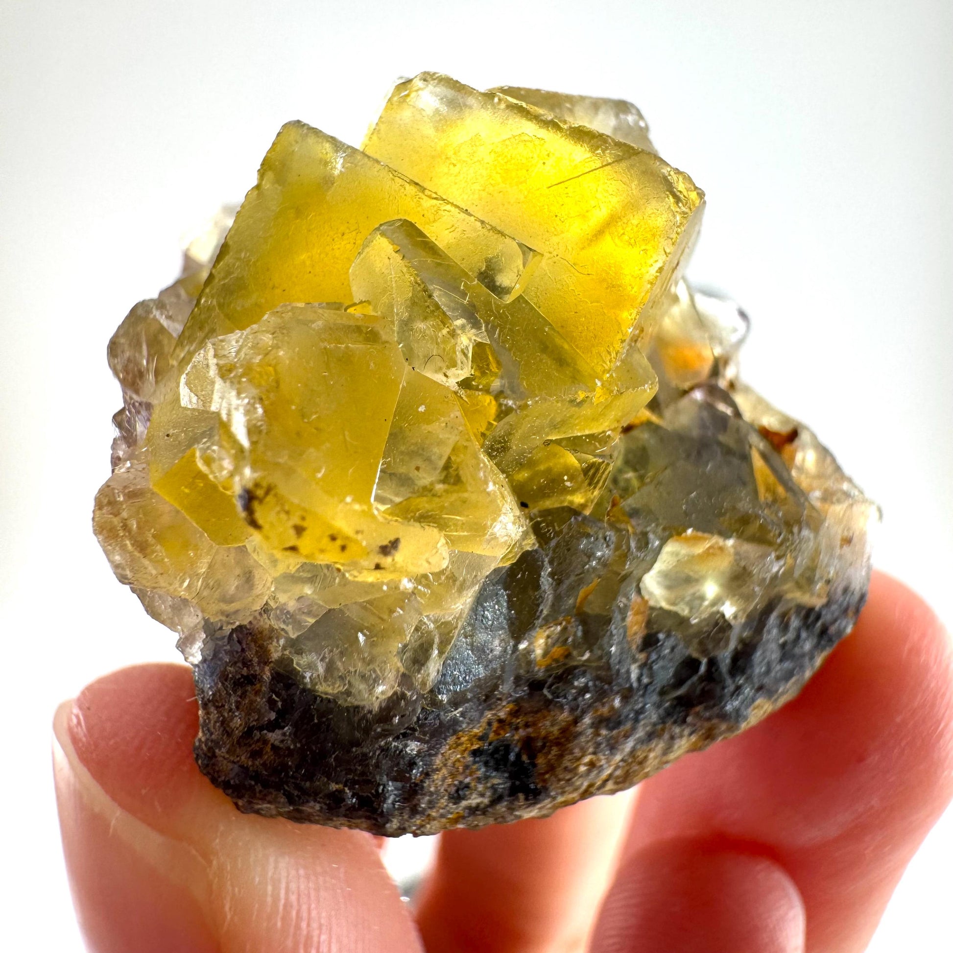 Okorusu Fluorite (Namibia) | “Honey Pocket” fluorite cluster, yellow fluorite crystal, mineral specimen