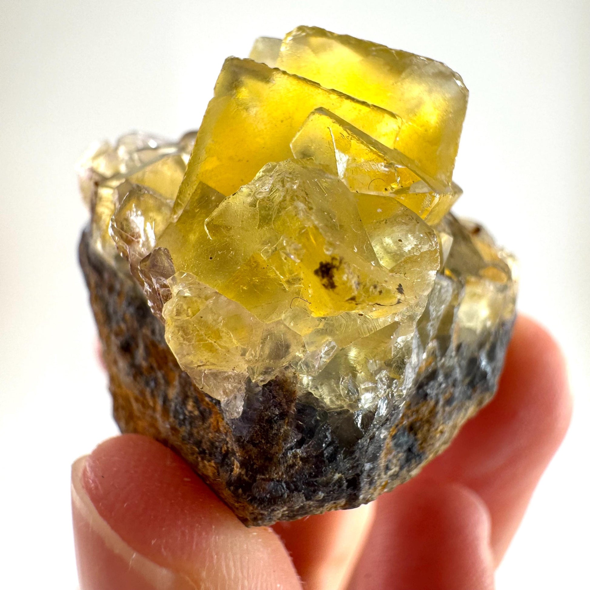 Okorusu Fluorite (Namibia) | “Honey Pocket” fluorite cluster, yellow fluorite crystal, mineral specimen
