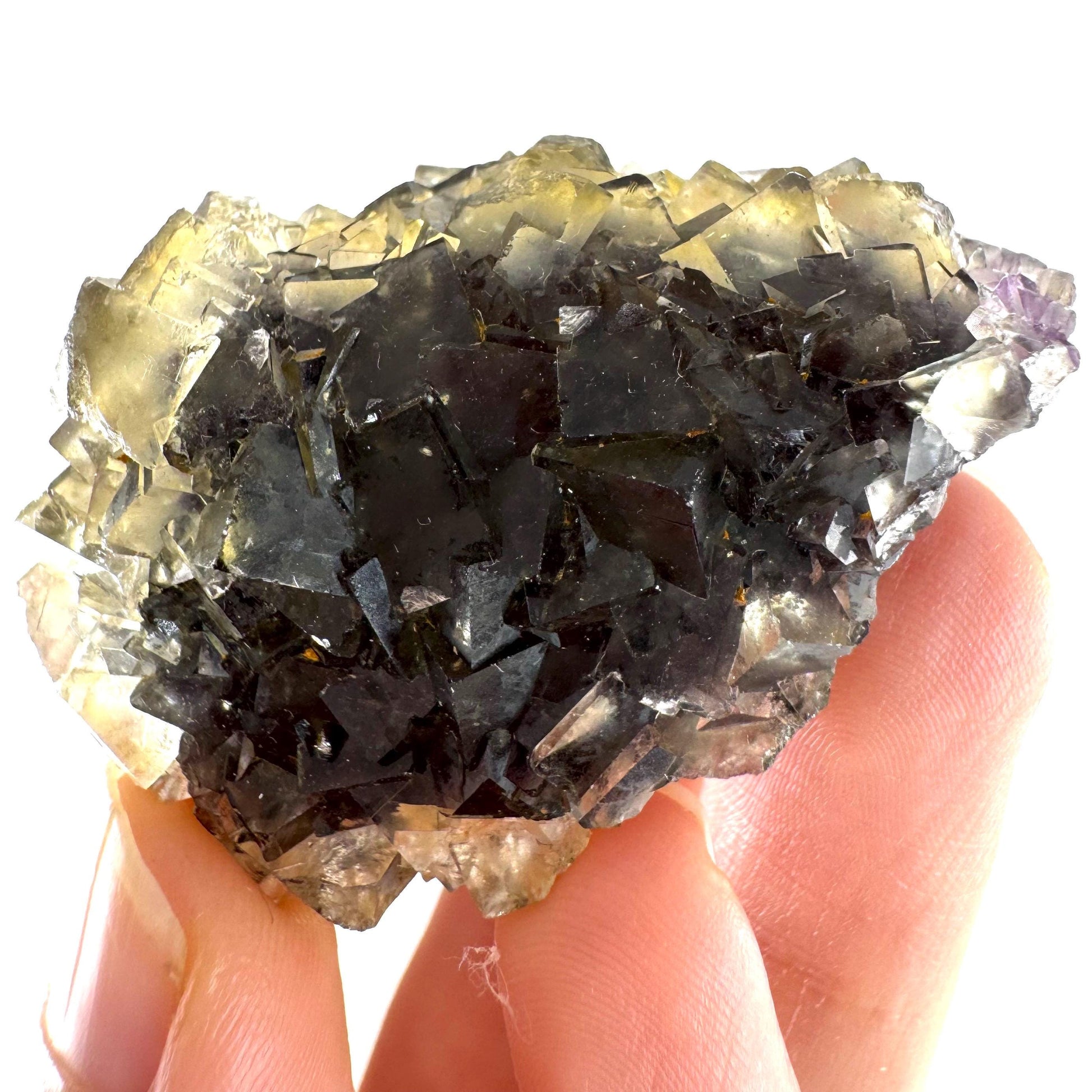 Okorusu Fluorite (Namibia) | “Honey Pocket” fluorite cluster, yellow fluorite crystal, mineral specimen