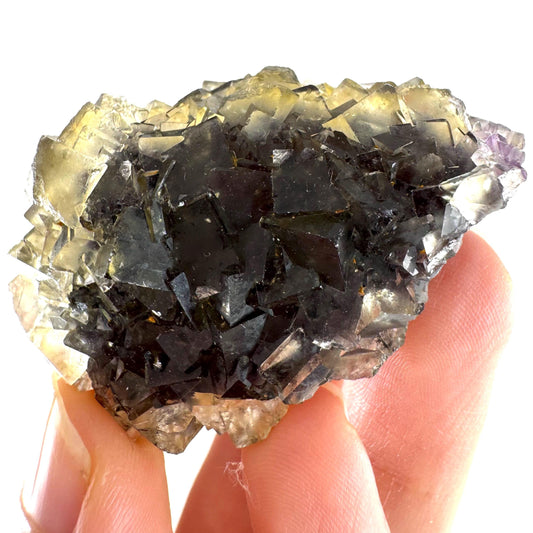 Okorusu Fluorite (Namibia) | “Honey Pocket” fluorite cluster, yellow fluorite crystal, mineral specimen