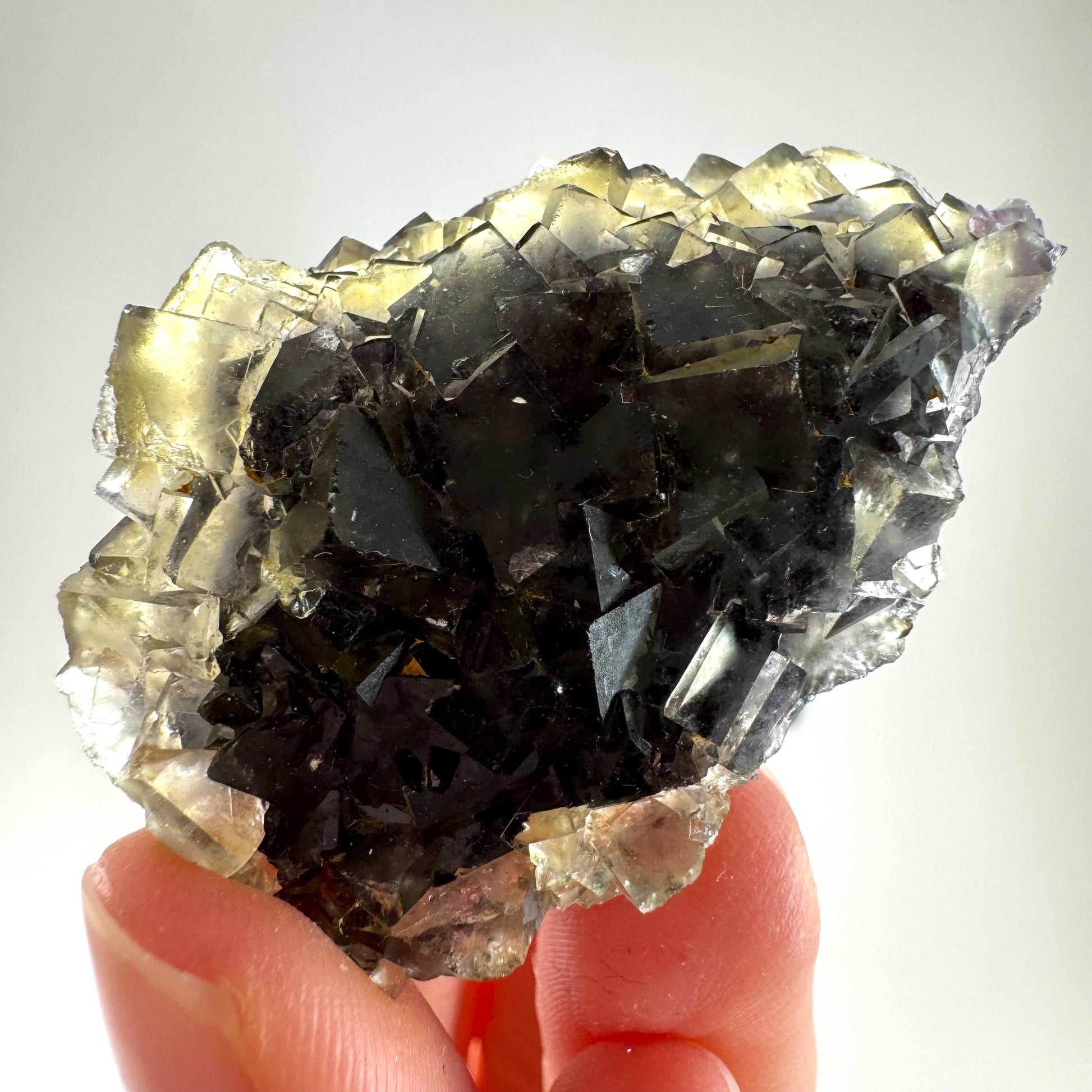 Okorusu Fluorite (Namibia) | “Honey Pocket” fluorite cluster, yellow fluorite crystal, mineral specimen