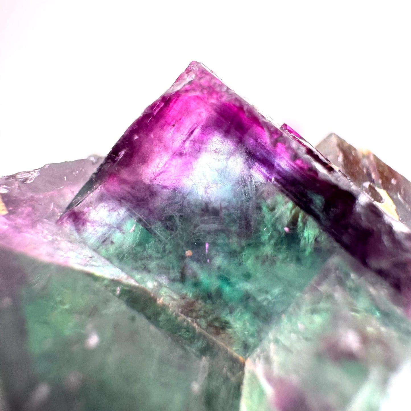 Okorusu Fluorite (Namibia) | “Aurora Pocket” green & purple fluorite crystal, raw fluorite, mineral specimen
