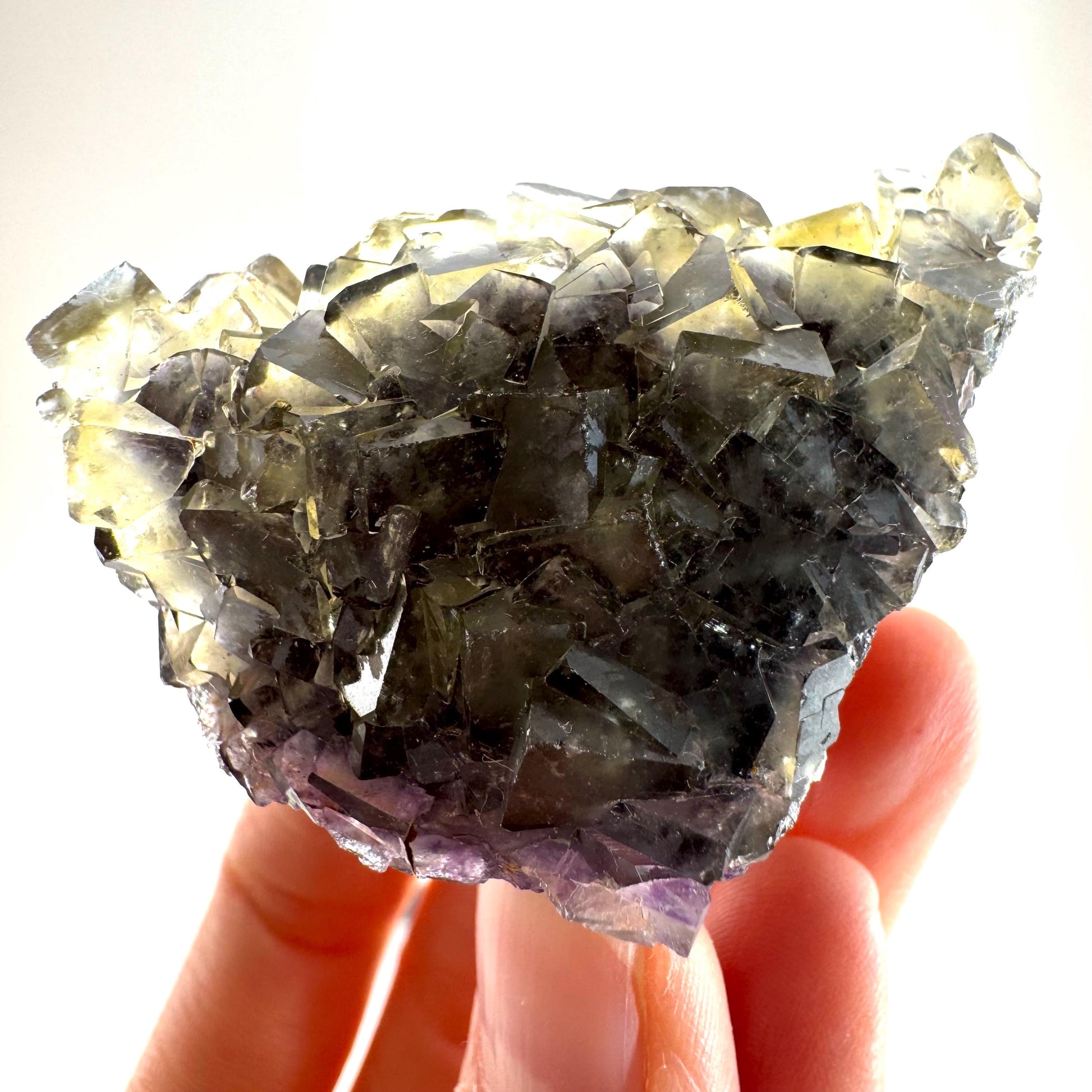 Okorusu Fluorite (Namibia) | “Honey Pocket” fluorite cluster, yellow fluorite crystal, mineral specimen