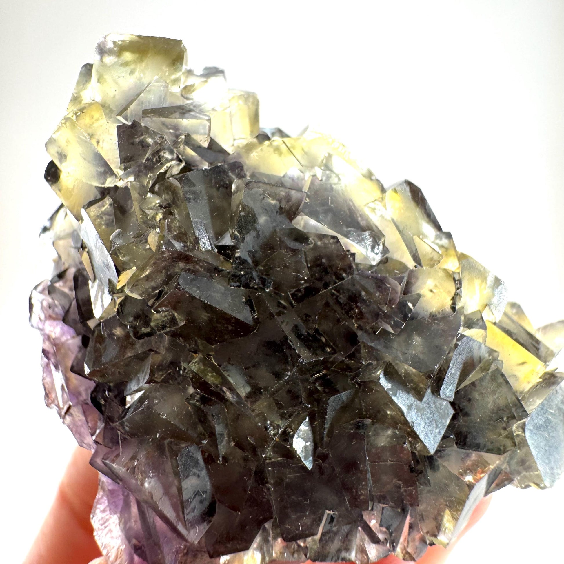 Okorusu Fluorite (Namibia) | “Honey Pocket” fluorite cluster, yellow fluorite crystal, mineral specimen