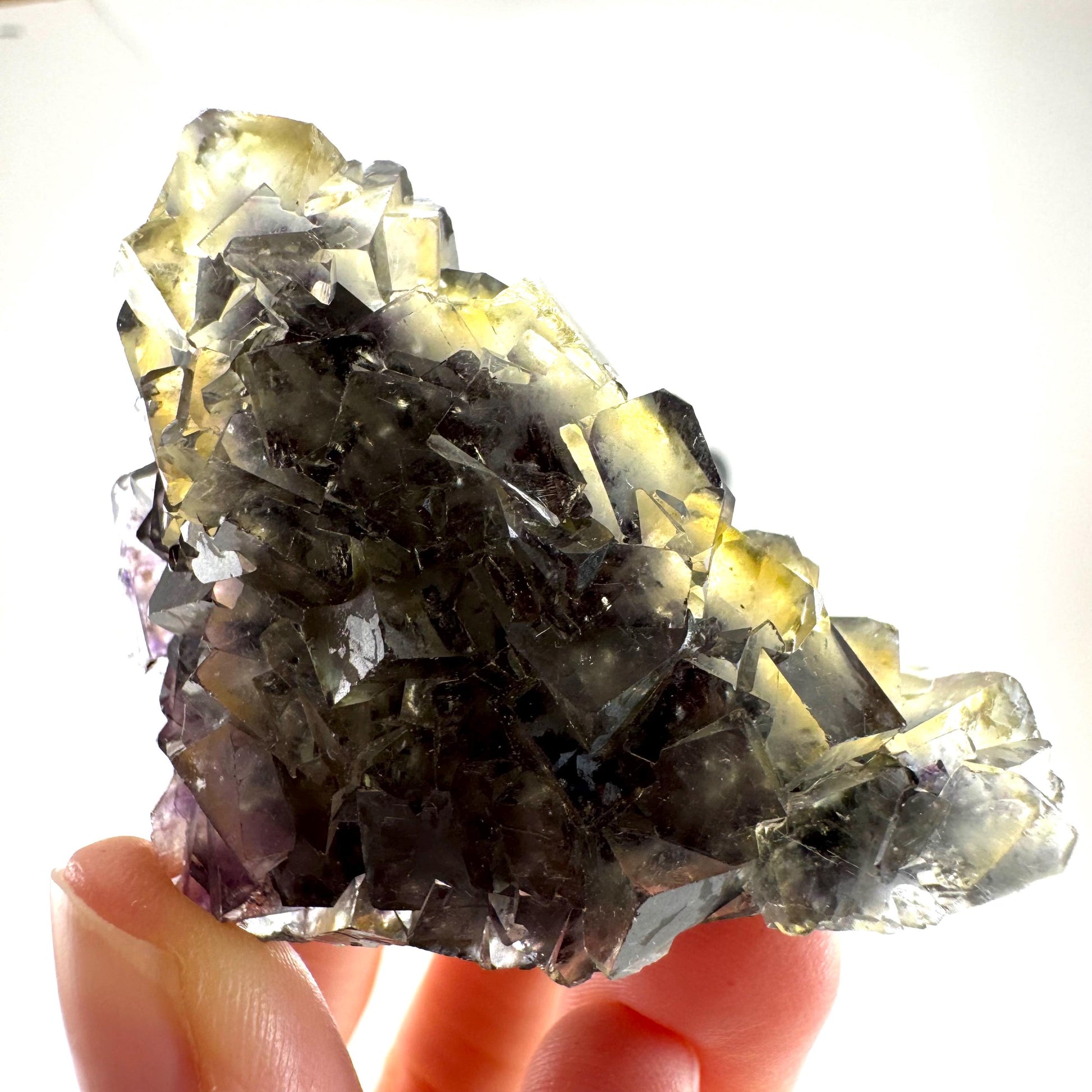 Okorusu Fluorite (Namibia) | “Honey Pocket” fluorite cluster, yellow fluorite crystal, mineral specimen