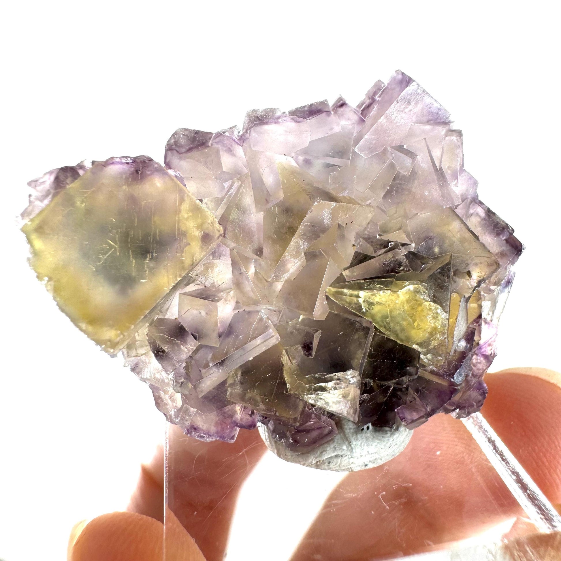 Okorusu Fluorite (Namibia) | “Honey Pocket” fluorite cluster, yellow fluorite crystal, mineral specimen