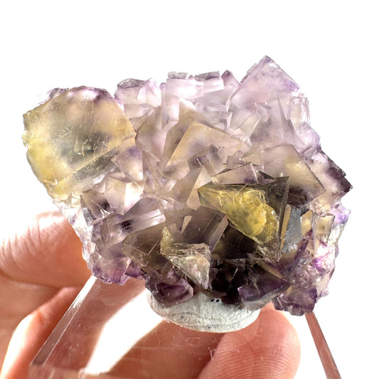 Okorusu Fluorite (Namibia) | “Honey Pocket” fluorite cluster, yellow fluorite crystal, mineral specimen