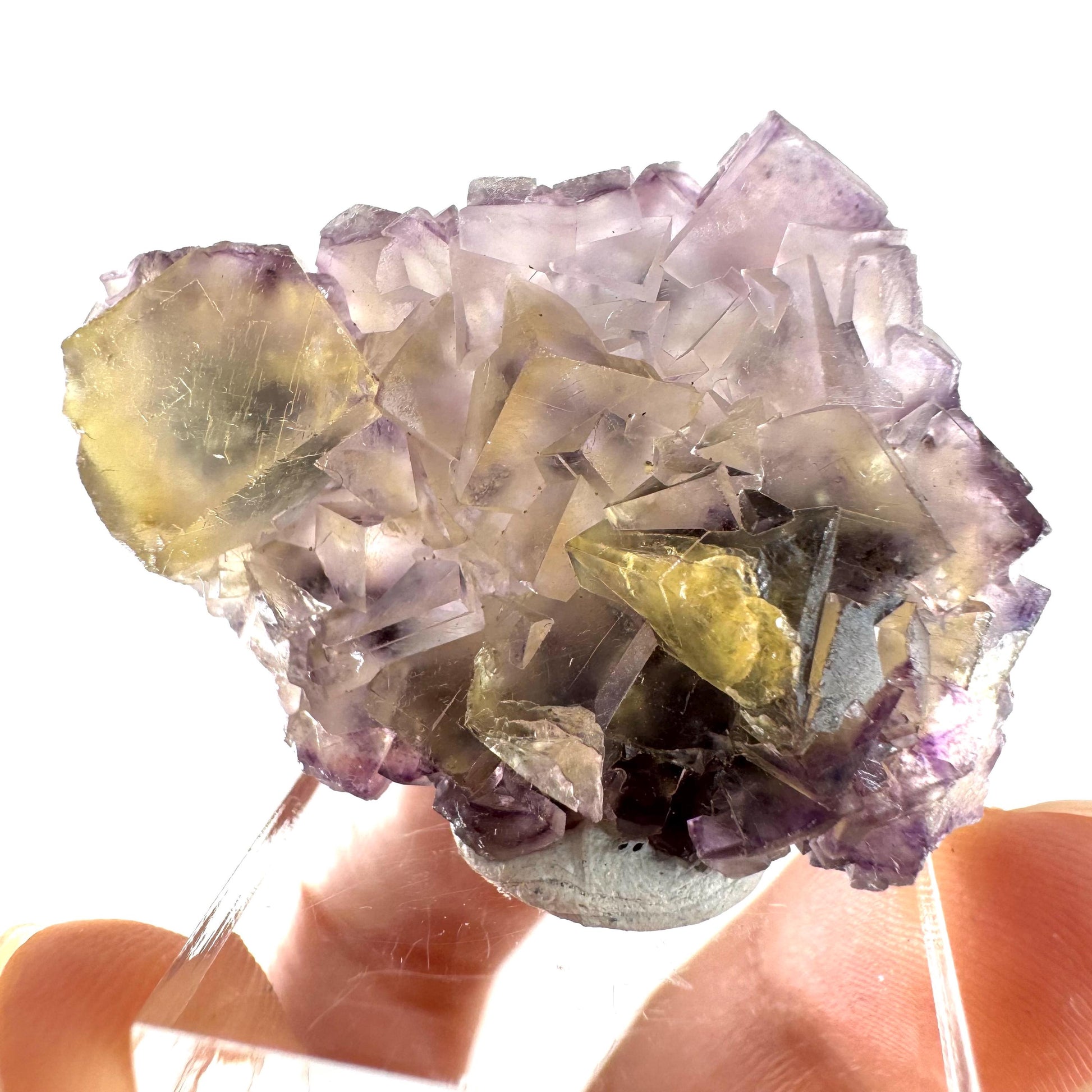 Okorusu Fluorite (Namibia) | “Honey Pocket” fluorite cluster, yellow fluorite crystal, mineral specimen