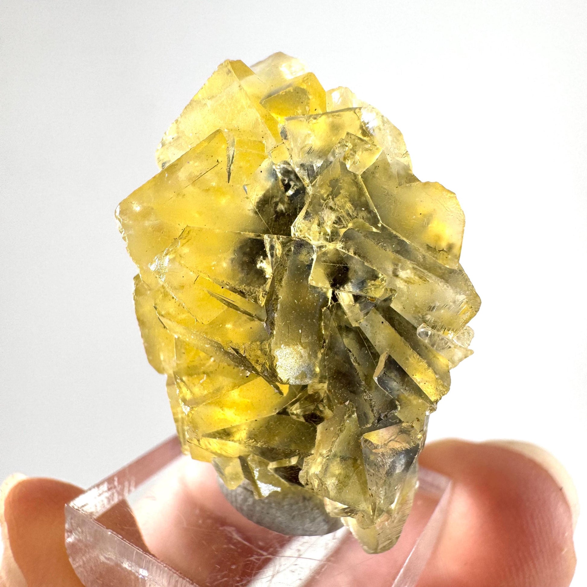 Okorusu Fluorite (Namibia) | “Honey Pocket” fluorite cluster, yellow fluorite crystal, mineral specimen