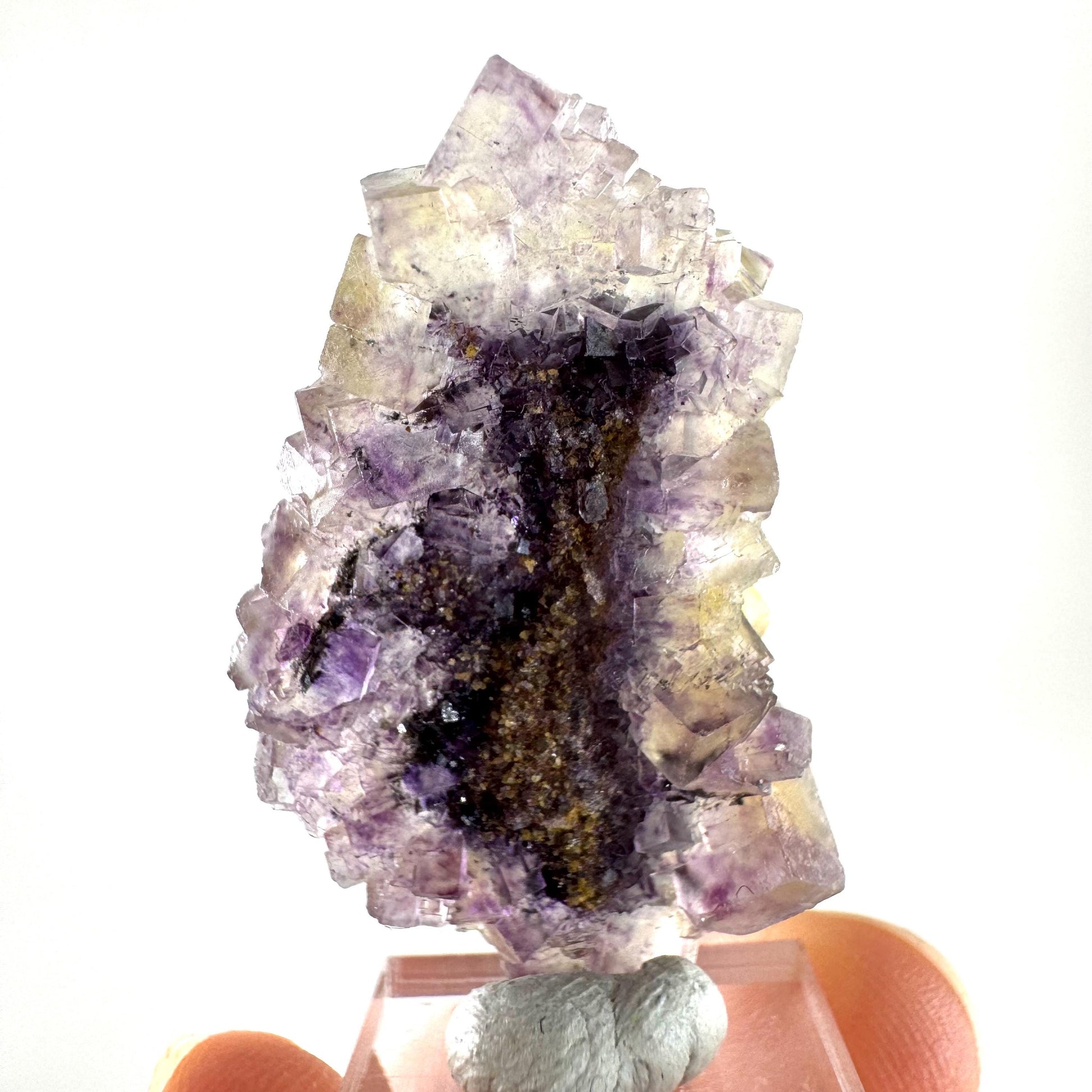 Okorusu Fluorite (Namibia) | “Honey Pocket” fluorite cluster, yellow fluorite crystal, mineral specimen