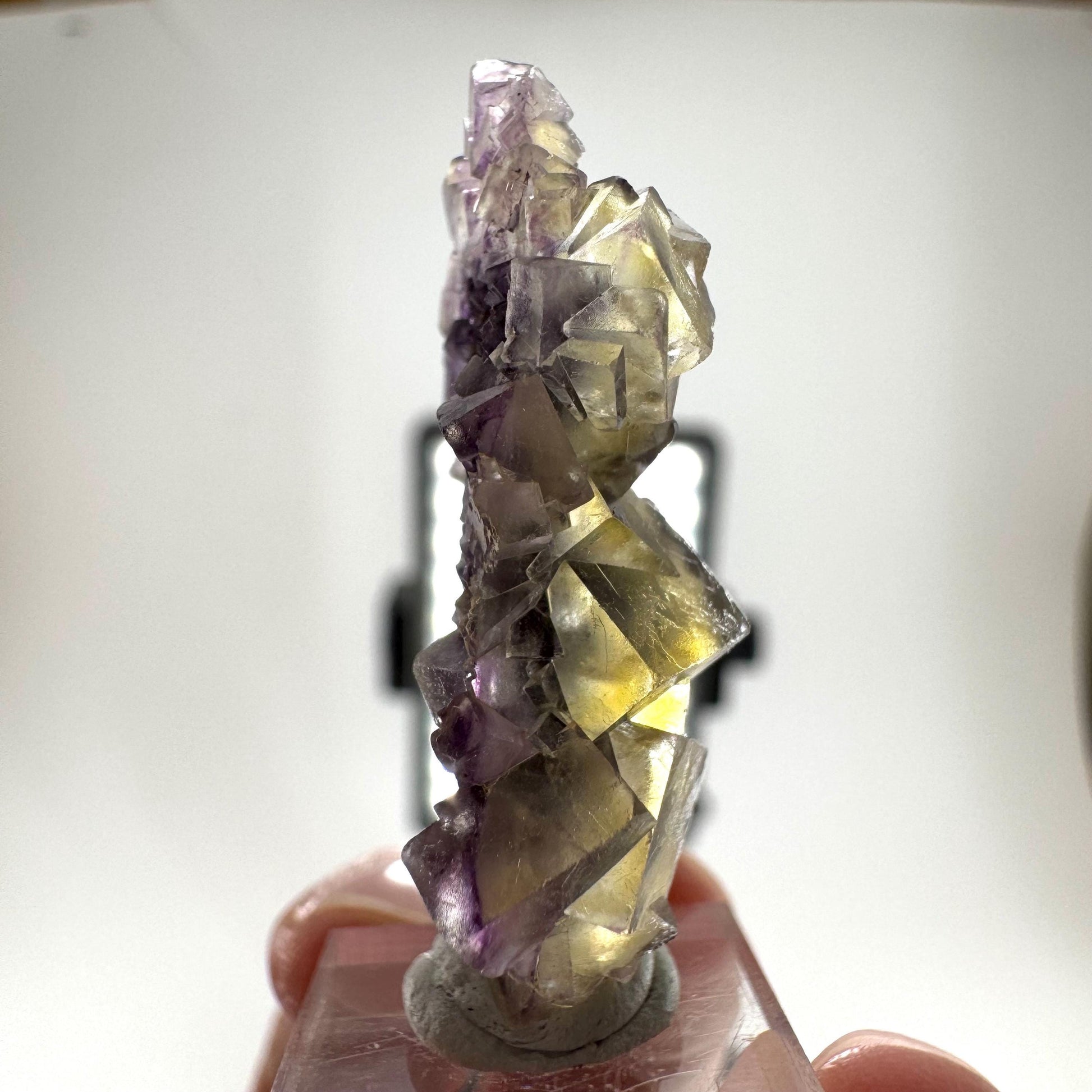 Okorusu Fluorite (Namibia) | “Honey Pocket” fluorite cluster, yellow fluorite crystal, mineral specimen