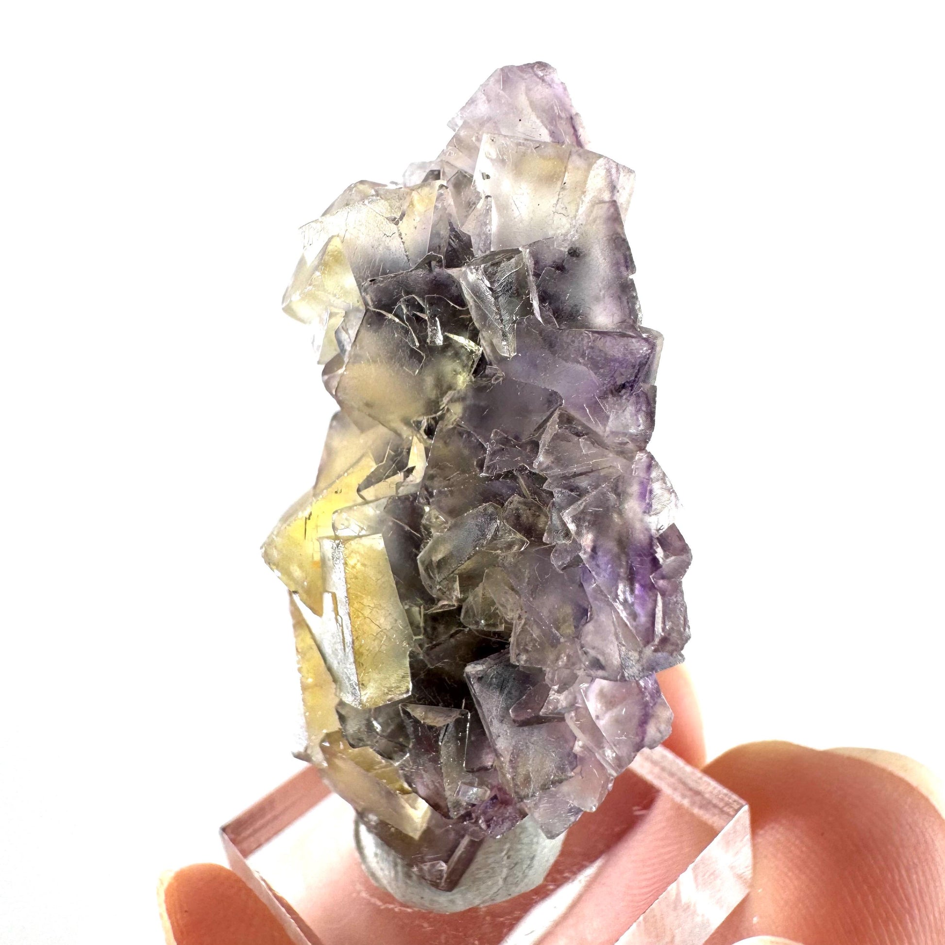 Okorusu Fluorite (Namibia) | “Honey Pocket” fluorite cluster, yellow fluorite crystal, mineral specimen