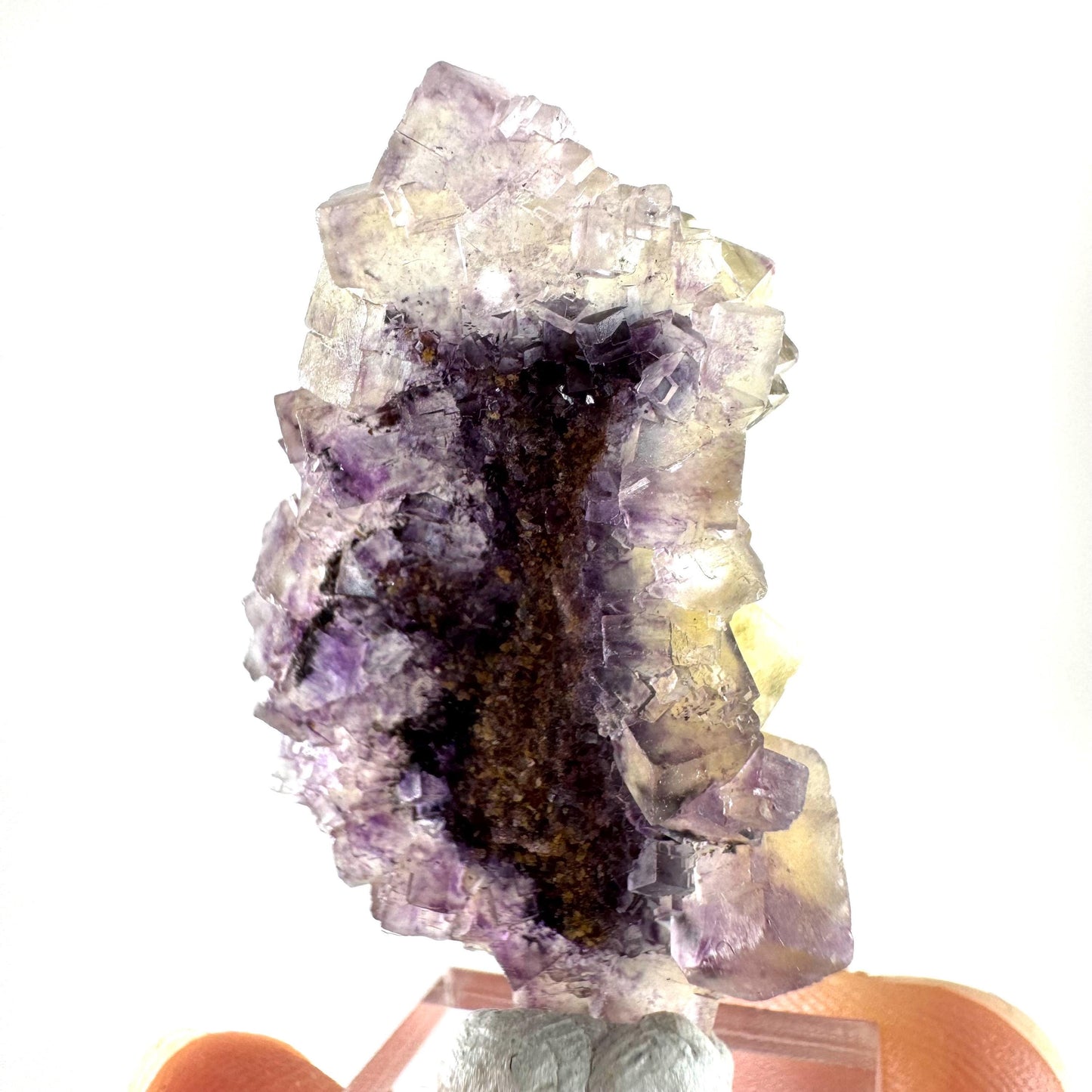 Okorusu Fluorite (Namibia) | “Honey Pocket” fluorite cluster, yellow fluorite crystal, mineral specimen