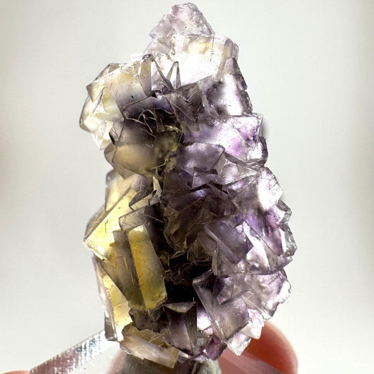 Okorusu Fluorite (Namibia) | “Honey Pocket” fluorite cluster, yellow fluorite crystal, mineral specimen