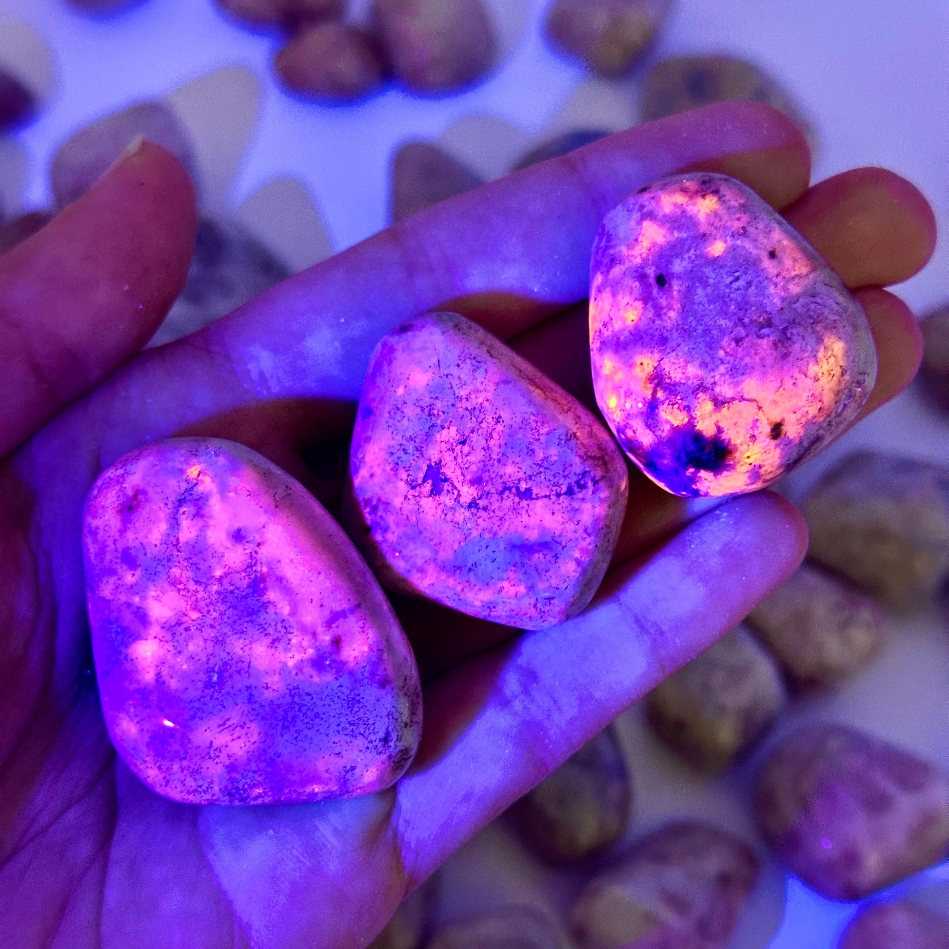 UV-reactive Hackmanite Tumbled Stone | Hackmanite, polished hackmanite, uv reactive crystal, hackmanite crystal