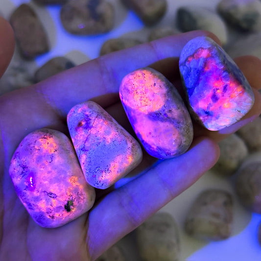 UV-reactive Hackmanite Tumbled Stone | Hackmanite, polished hackmanite, uv reactive crystal, hackmanite crystal