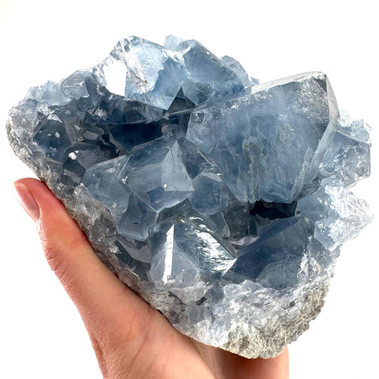 Celestite (Madagascar) | blue celestite crystal, raw celestite, celestine, mineral specimen