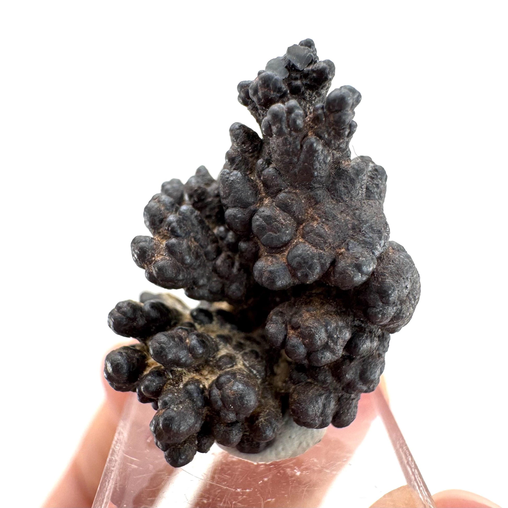 Botryoidal Goethite | natural mineral specimen, raw crystal (Namibia)