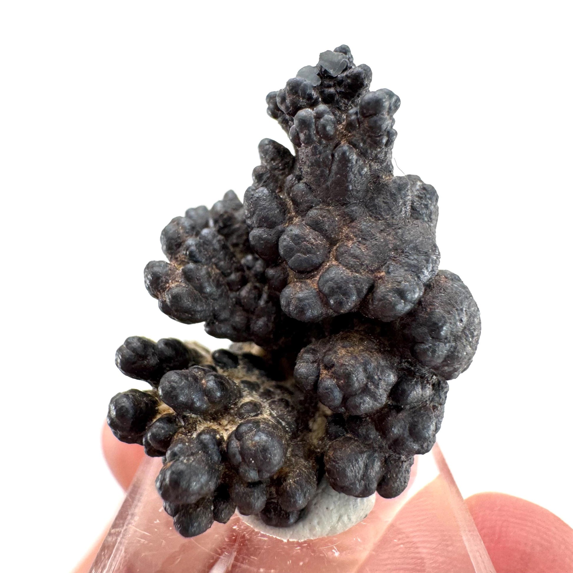 Botryoidal Goethite | natural mineral specimen, raw crystal (Namibia)